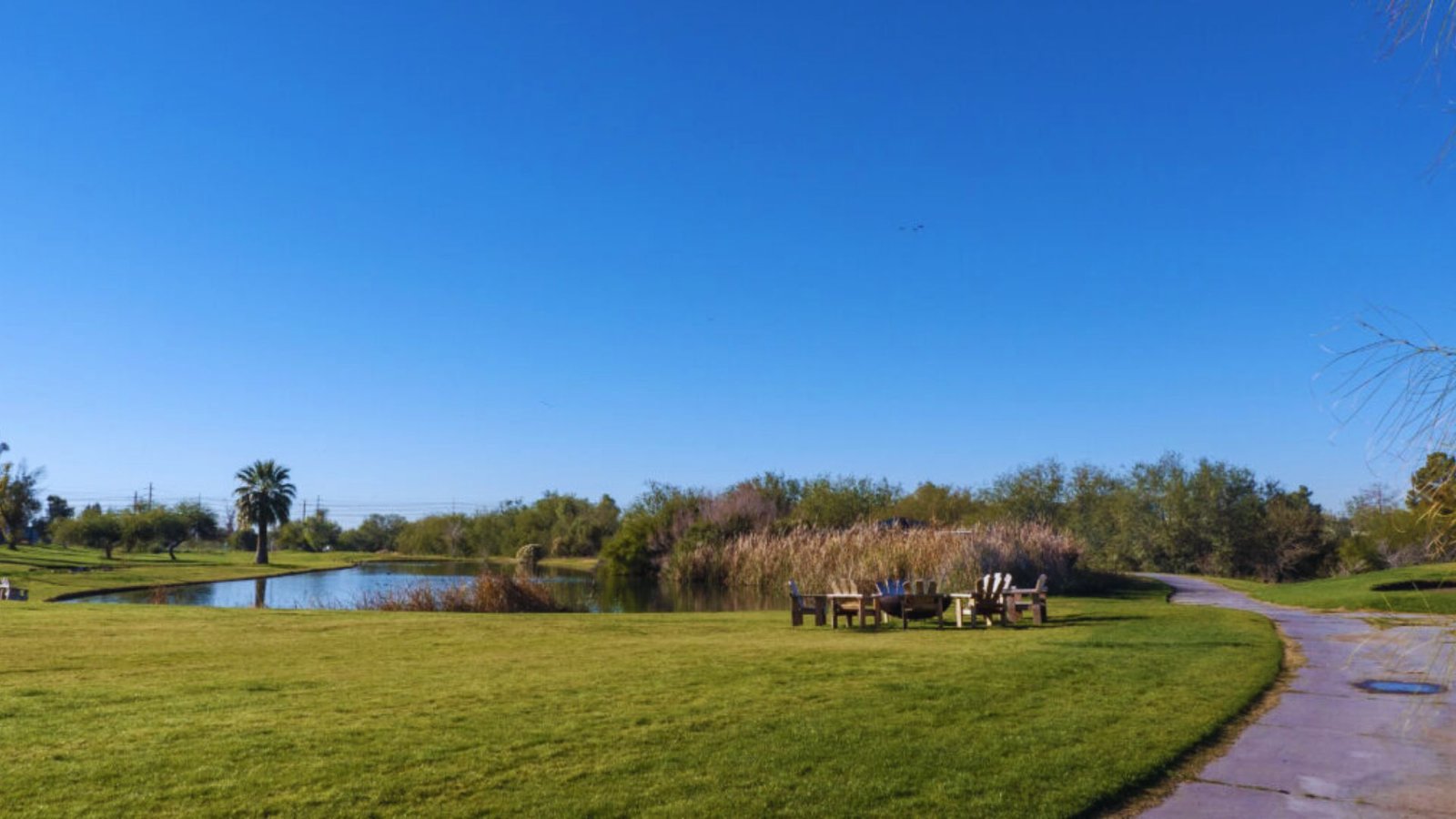 A beautiful golf course showcasing a pond and a backdrop of trees.
