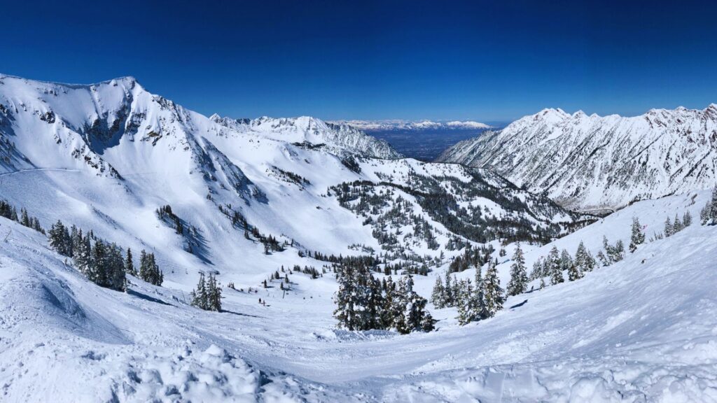 A snowy mountain range with evergreen trees, showcasing a serene winter landscape under a clear blue sky.