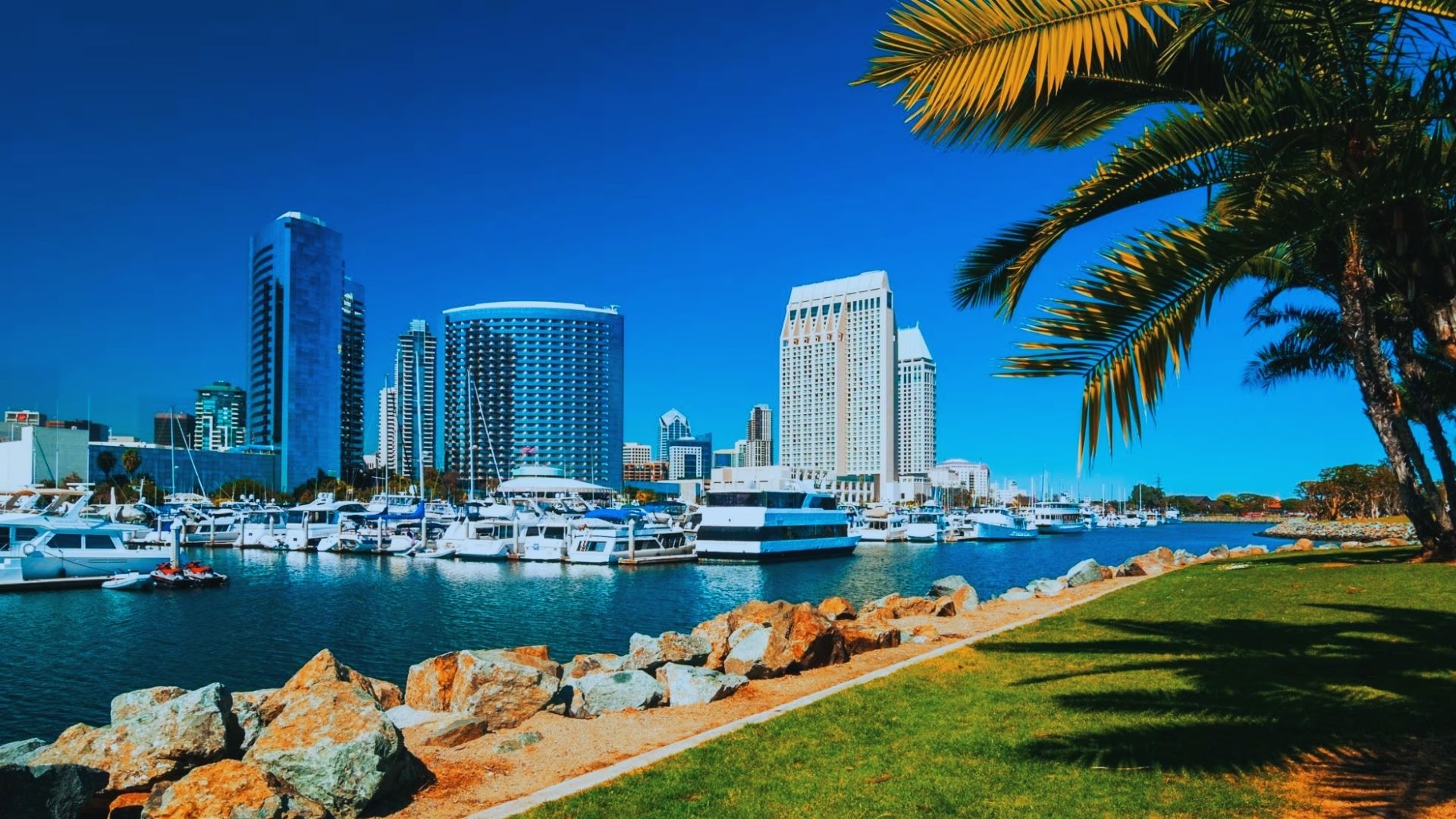 hings to Do in San Diego