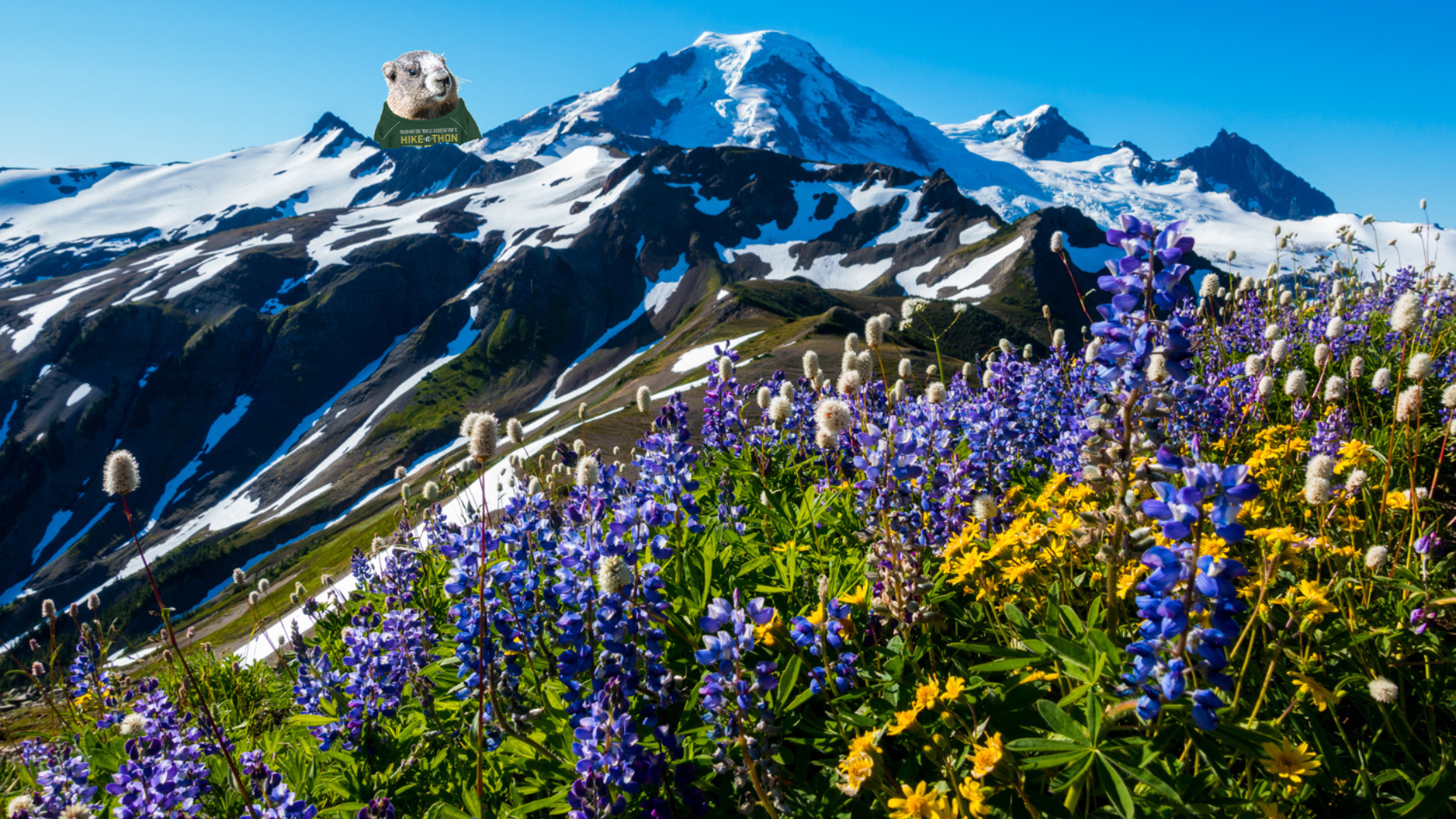 7. Skyline Divide Trail