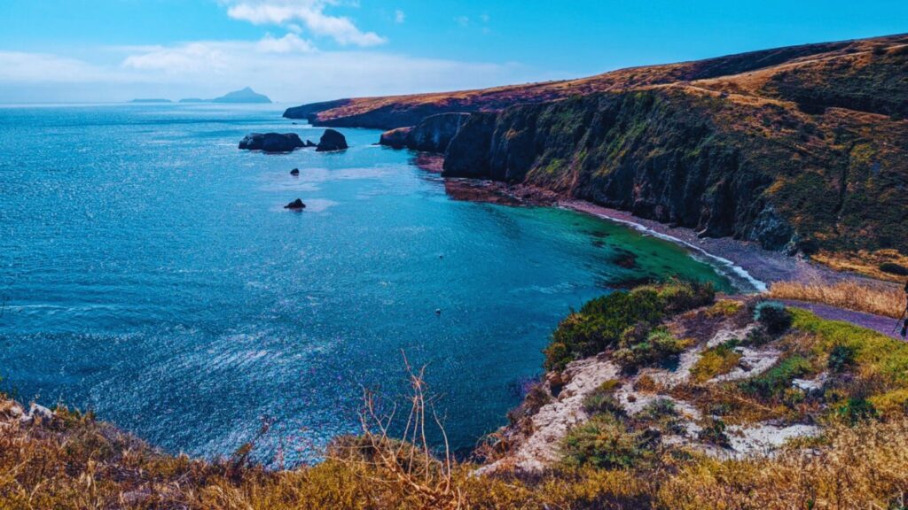 Channel Islands Day Trip: How to Plan the Perfect Visit
