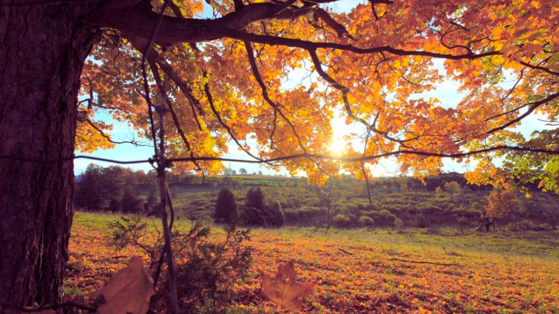 12. Peterborough & The Kawarthas: Trails & Lakes