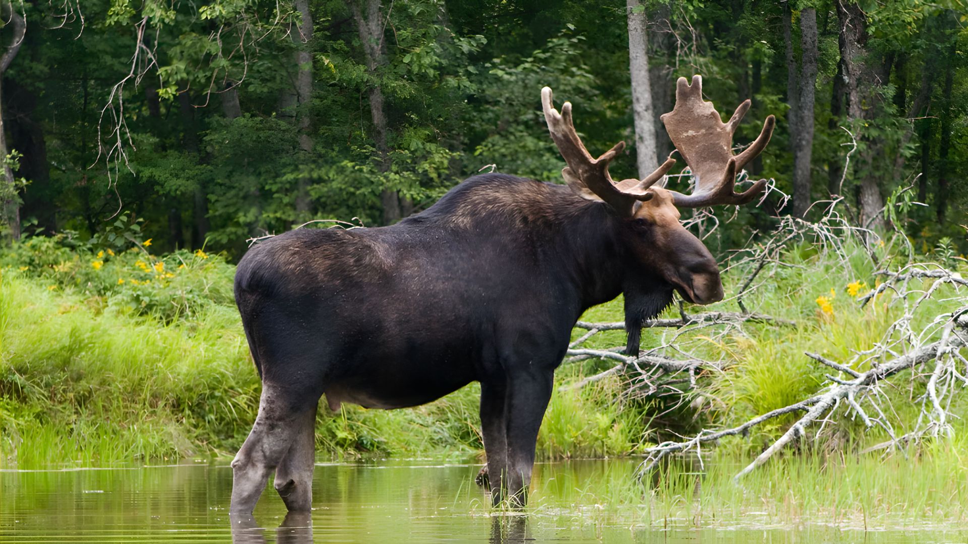 Wildlife Watching Paradise