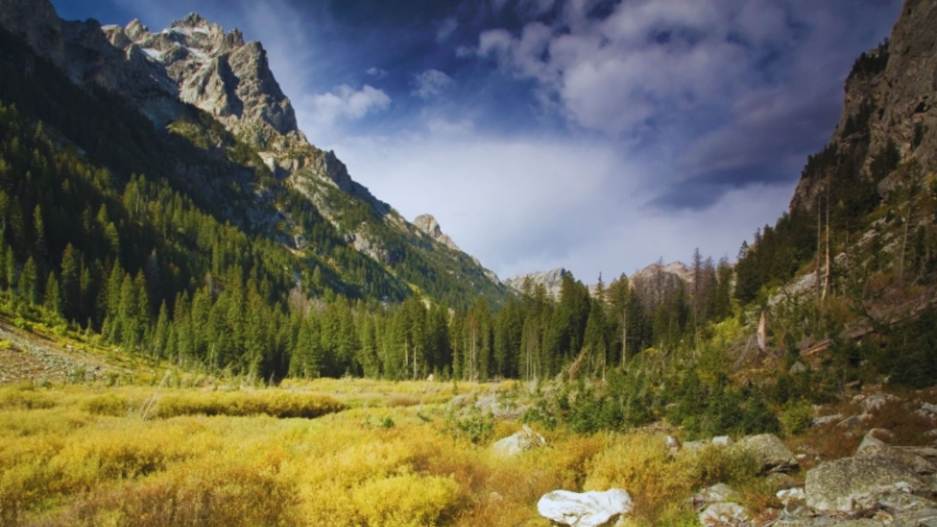 2. Cascade Canyon Trail