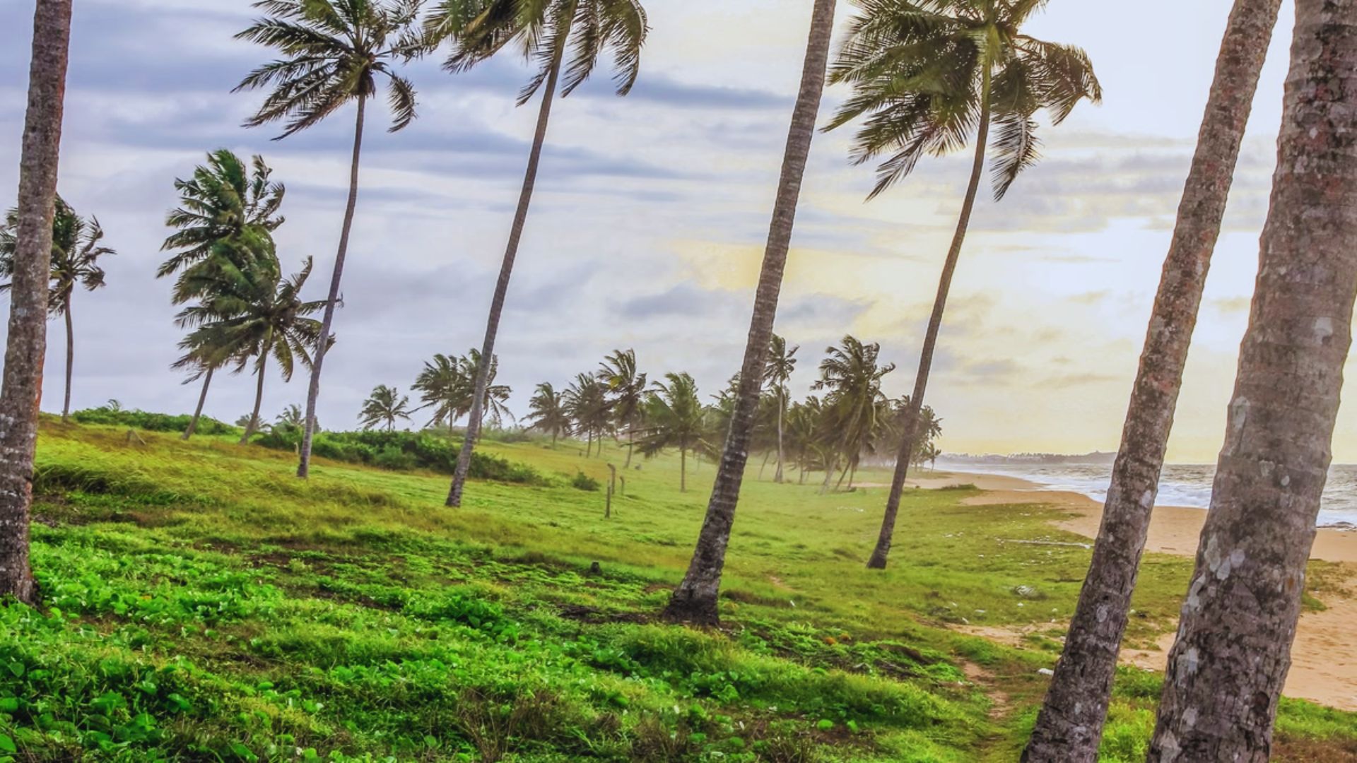 Planning Your Ghana Trip: What You Need to Know