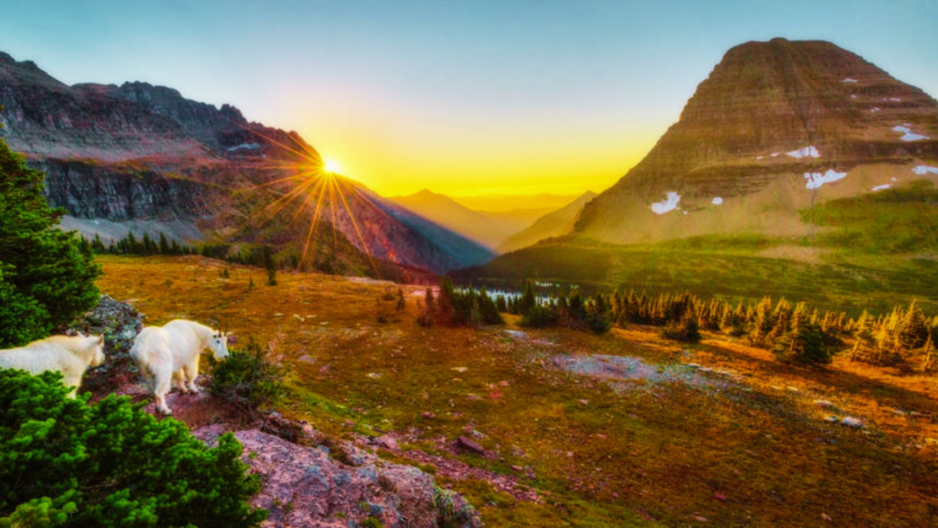 What It’s Really Like Visiting Glacier