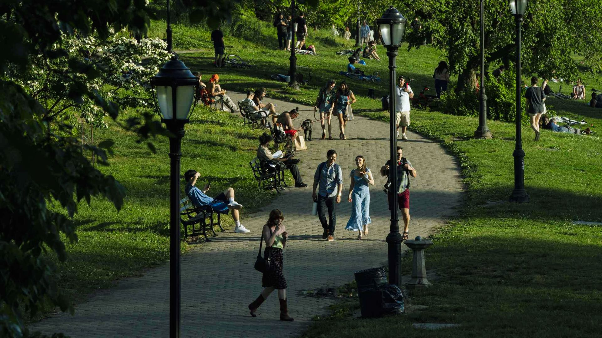 Visit Local Parks and Open Spaces