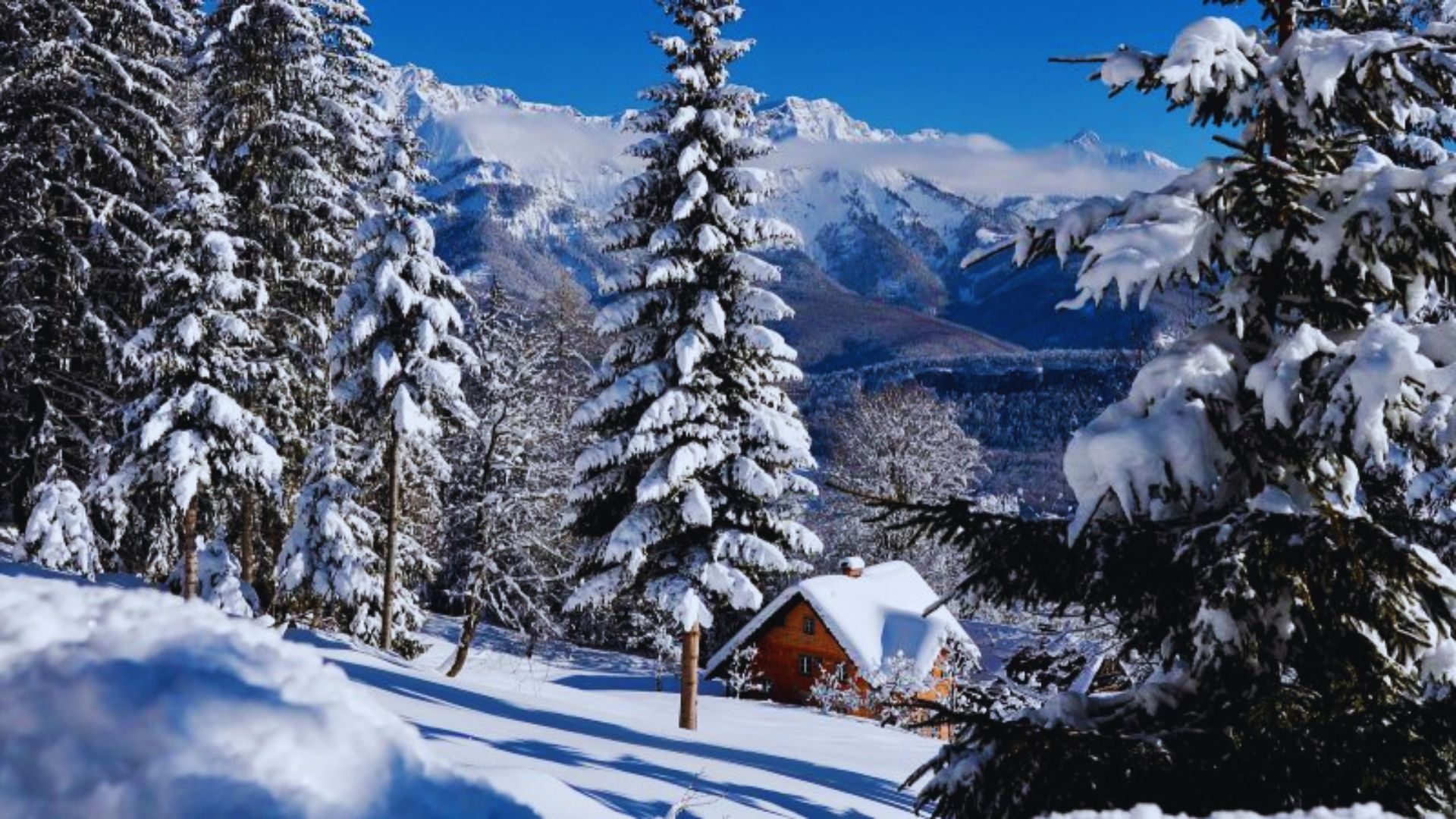 A cozy cabin surrounded by snow, with tall trees and majestic mountains in the background.