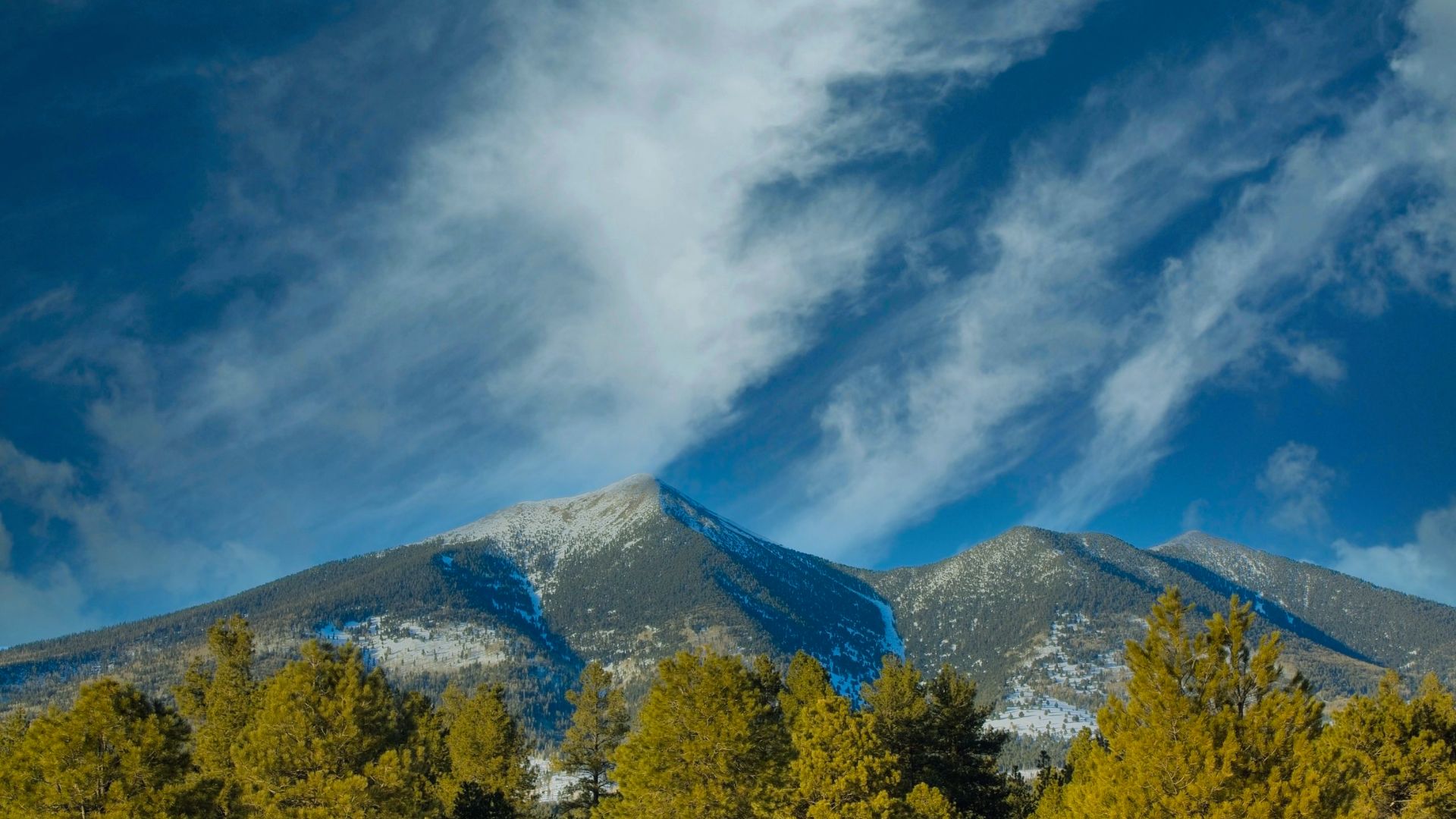 Majestic mountains rise behind a forest of trees, with soft clouds scattered across a bright sky.