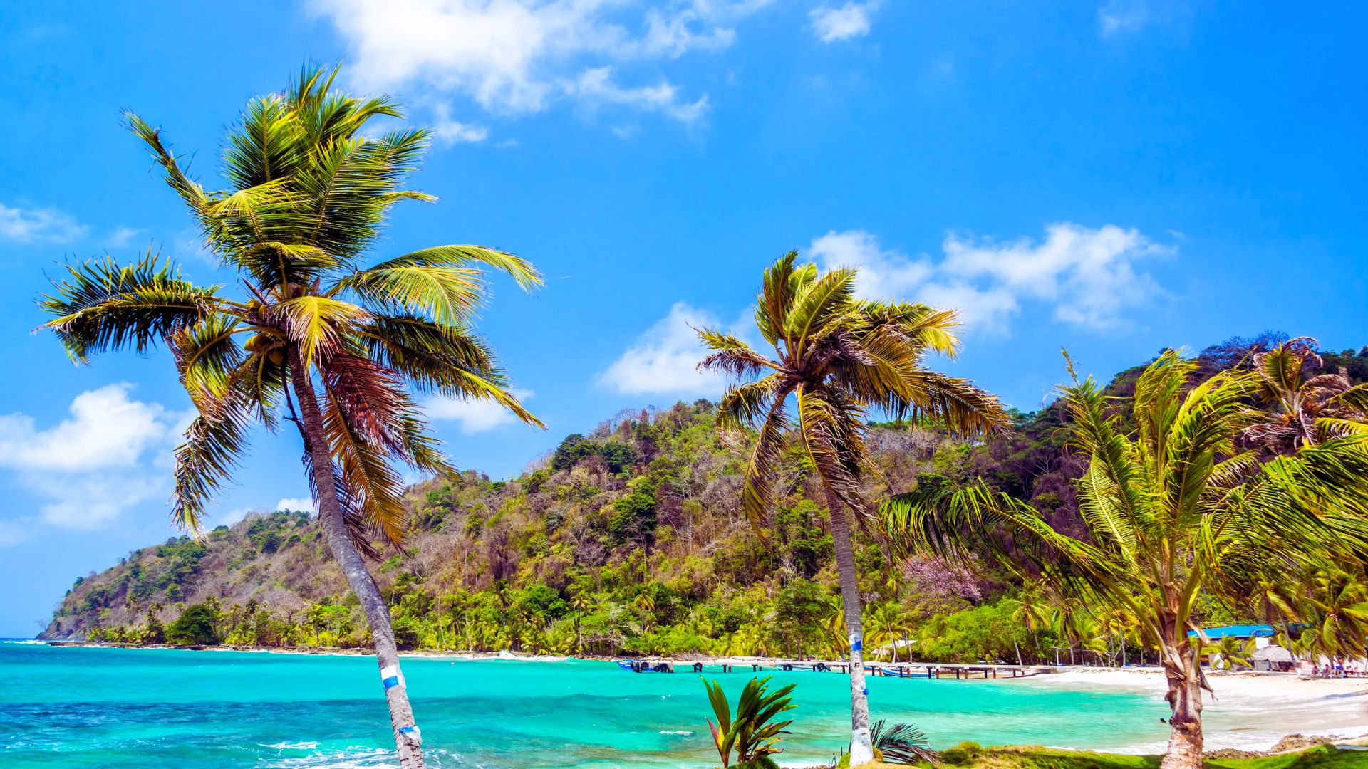 Panama Itinerary 10–14 Days