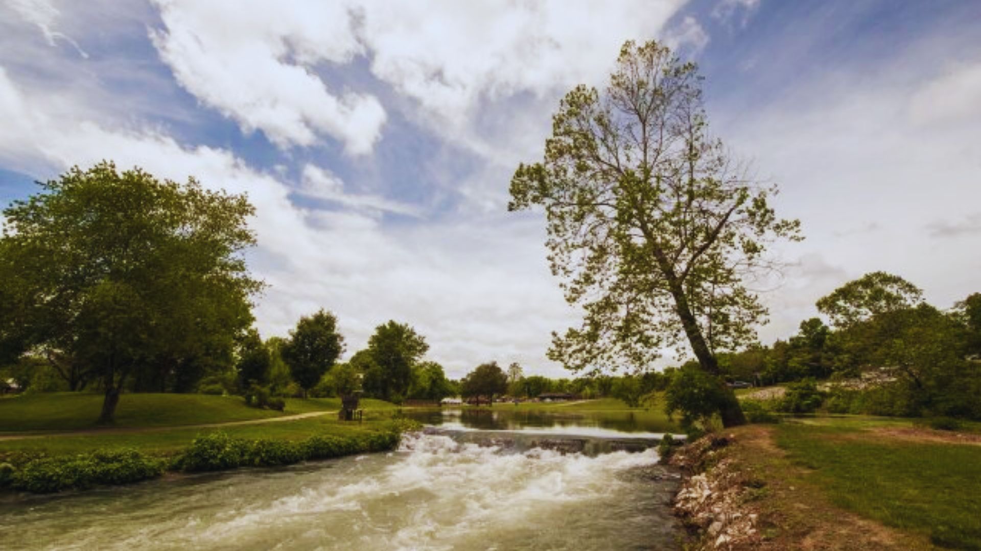 Animal & Farm Experiences