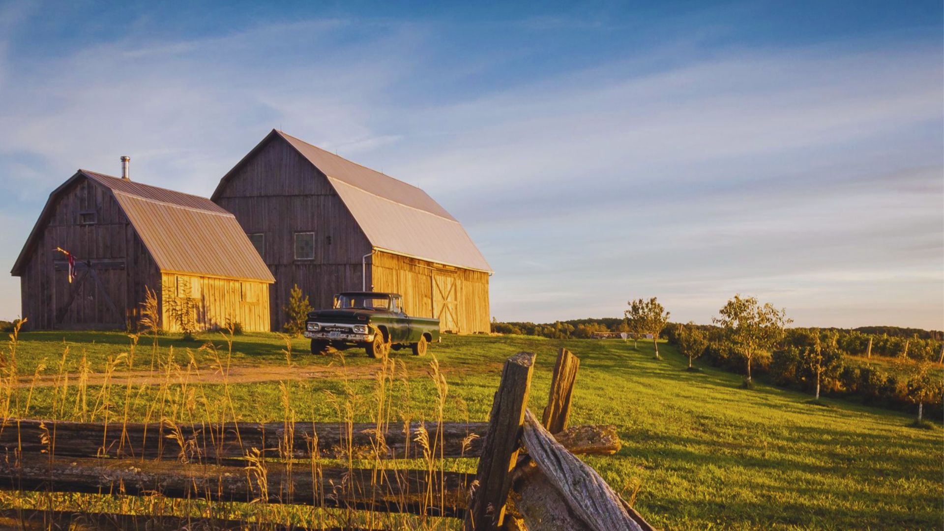 4. Prince Edward County: Beaches & Food Scene