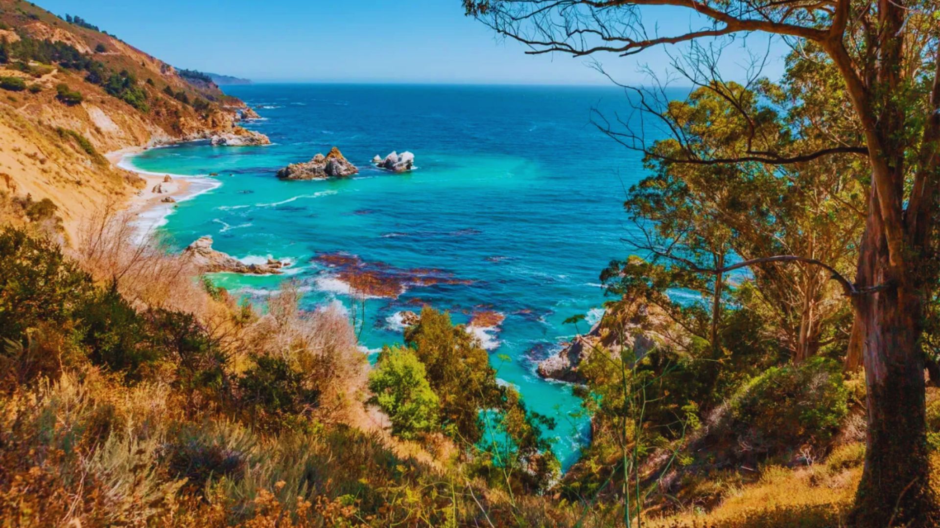 Planning Your Big Sur Visit