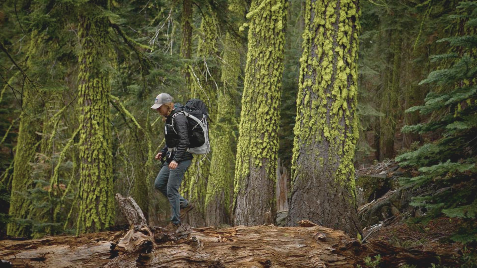 Trail Logistics and Planning