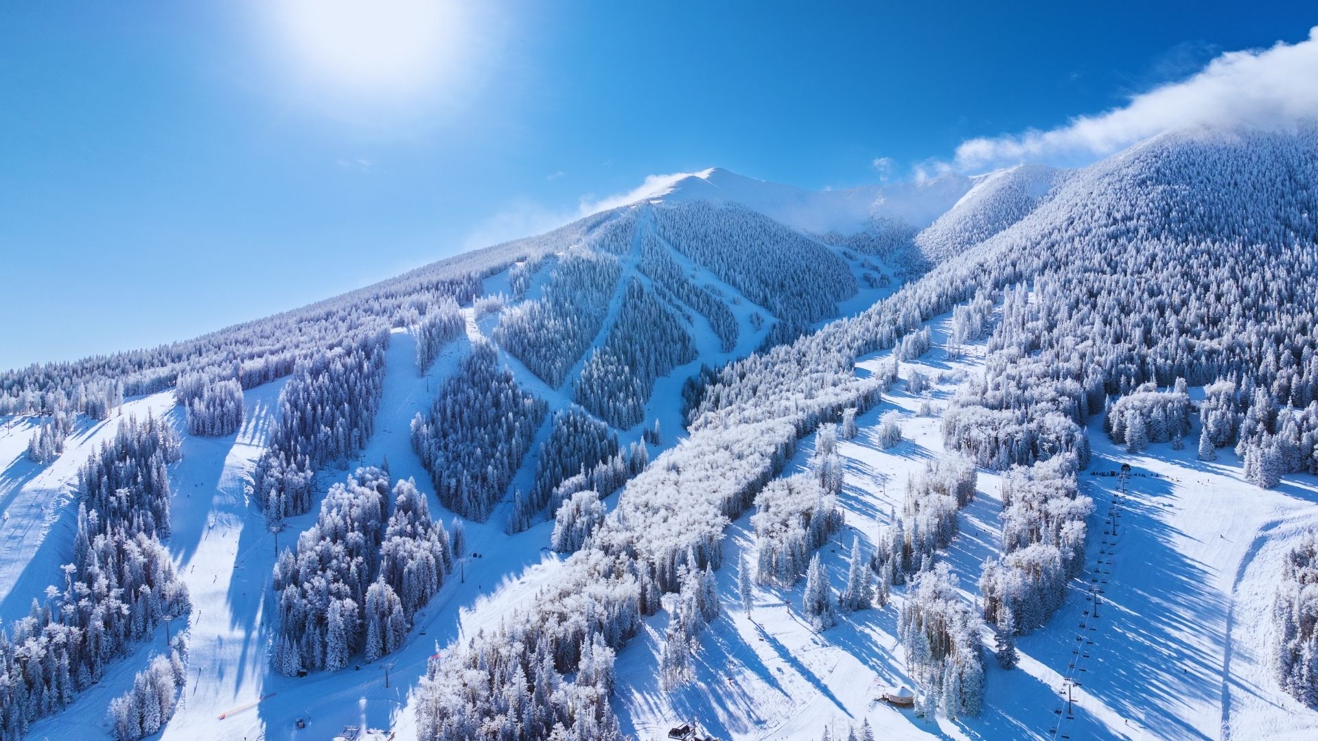 A winter landscape featuring a snow-covered ski slope lined with lush green trees.