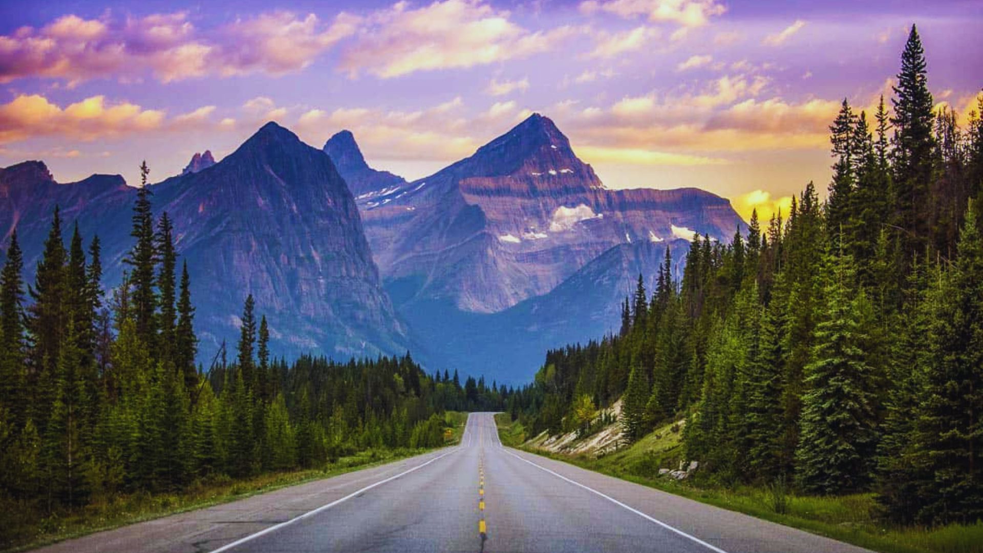A scenic road winding through trees, leading towards majestic mountains under a clear blue sky.