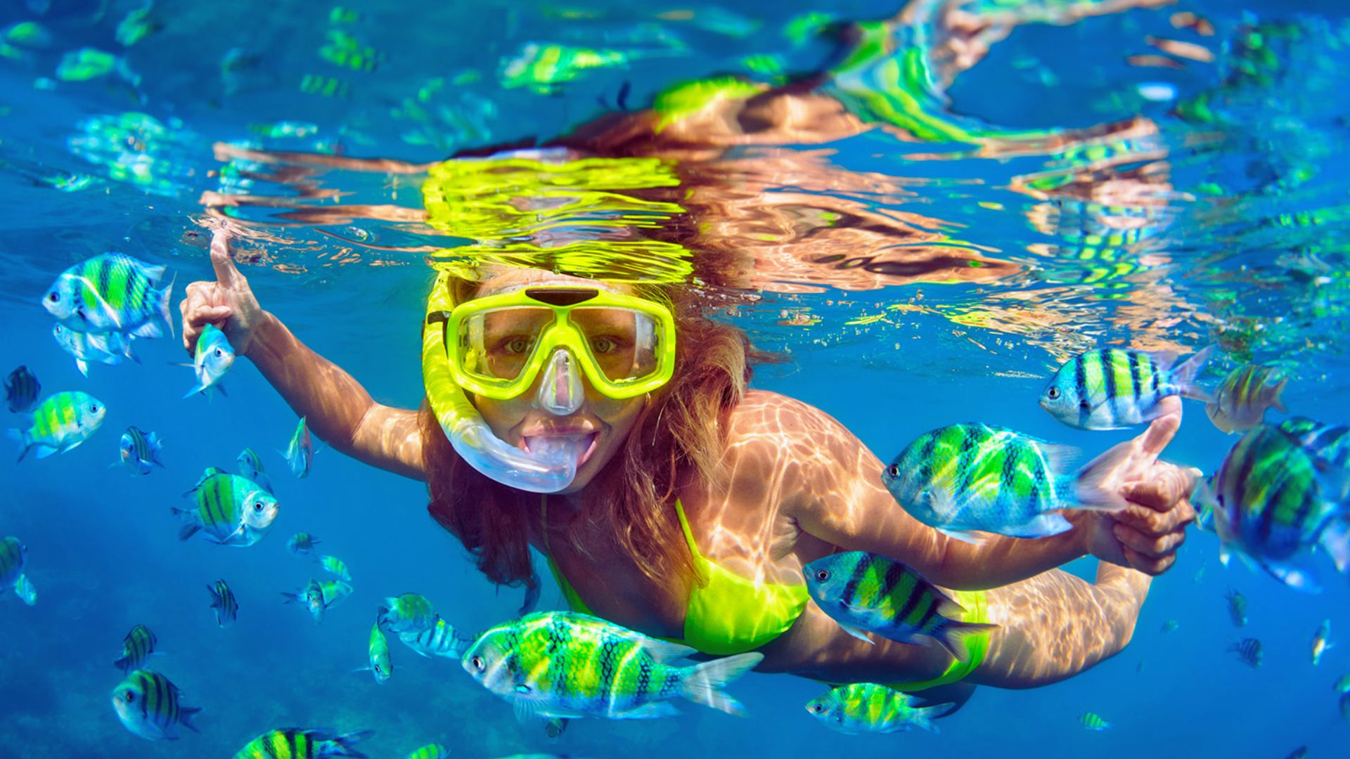Go Snorkeling or Scuba Diving