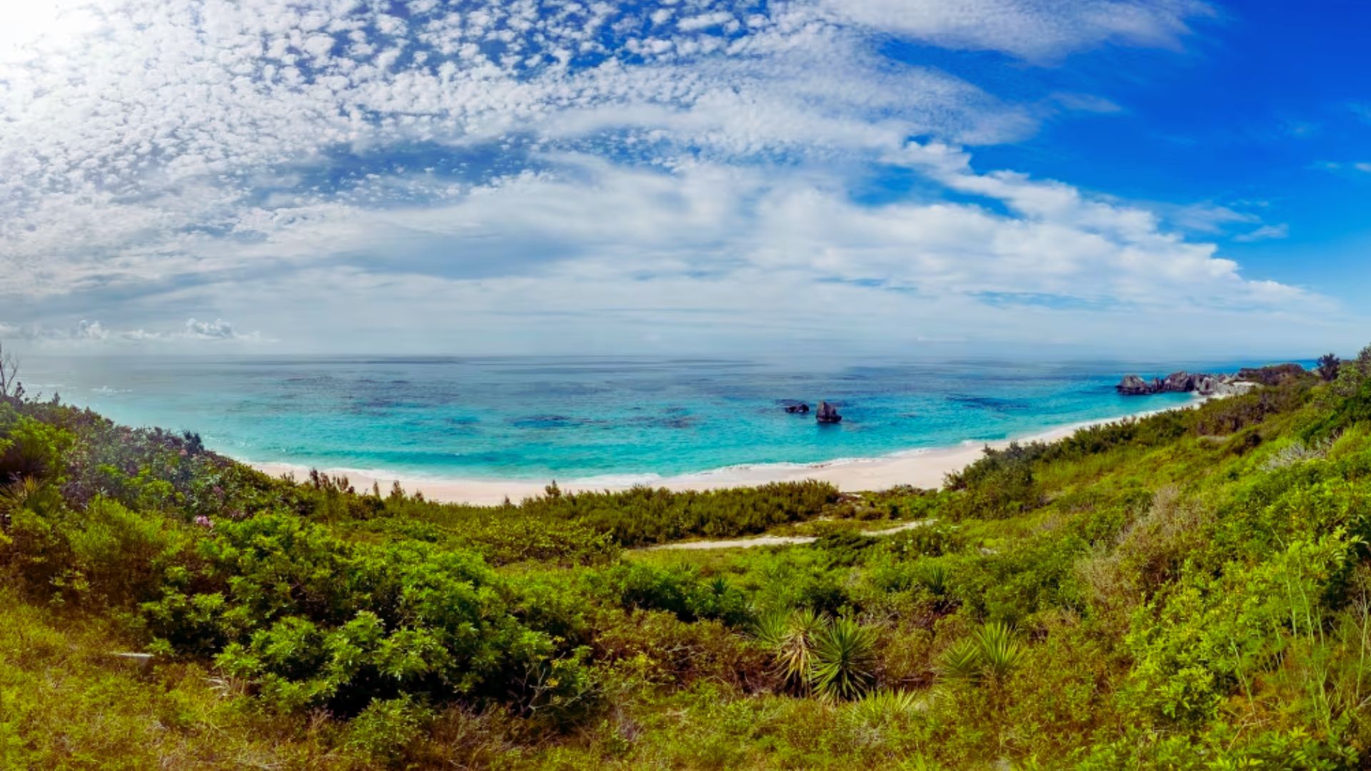 Best Time to Visit Bermuda