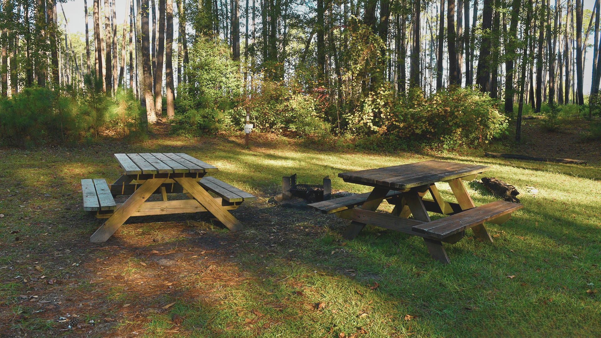 Bluff Campground or Backcountry Areas
