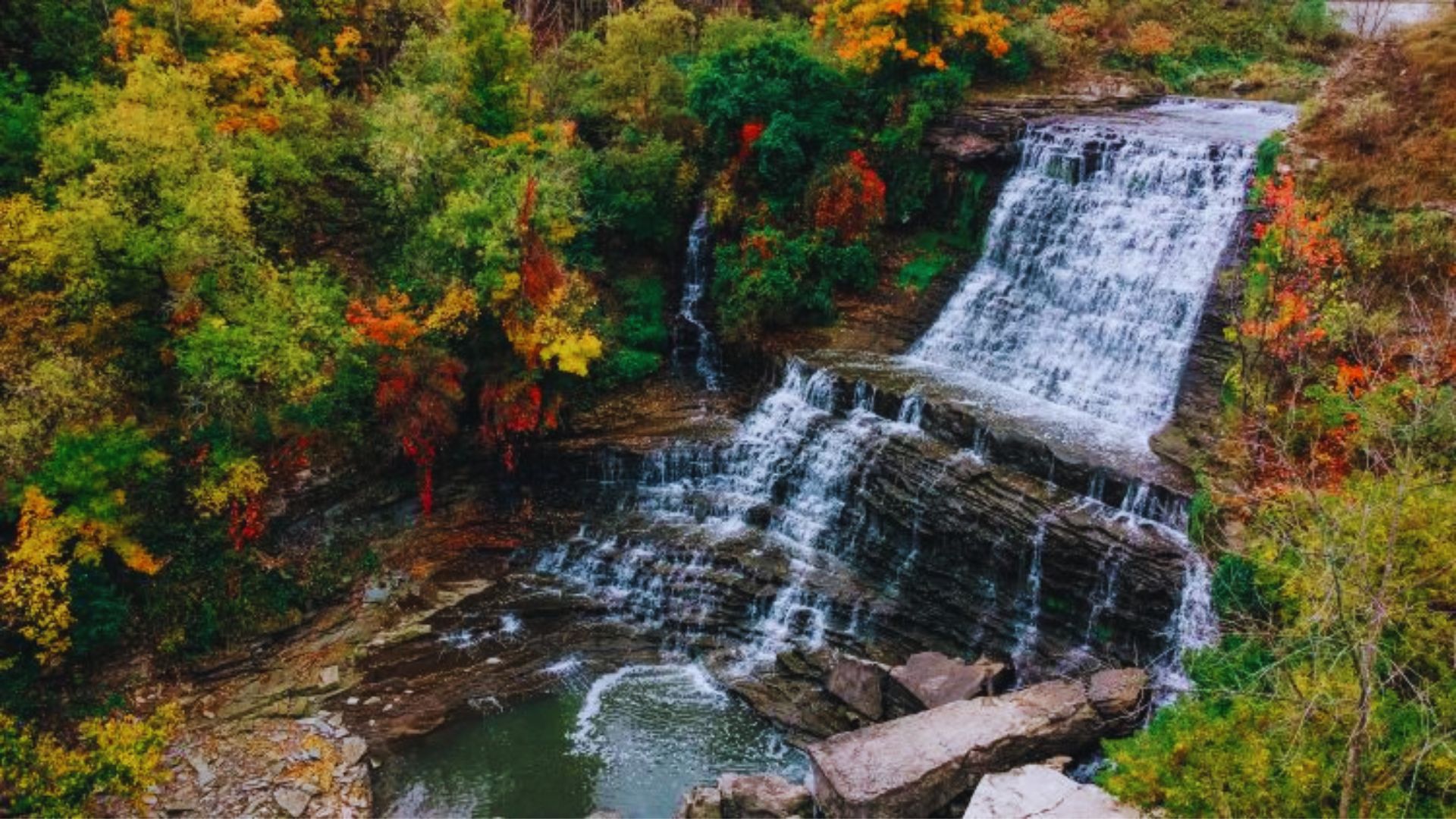 1. Hamilton: Waterfalls & Scenic Trails