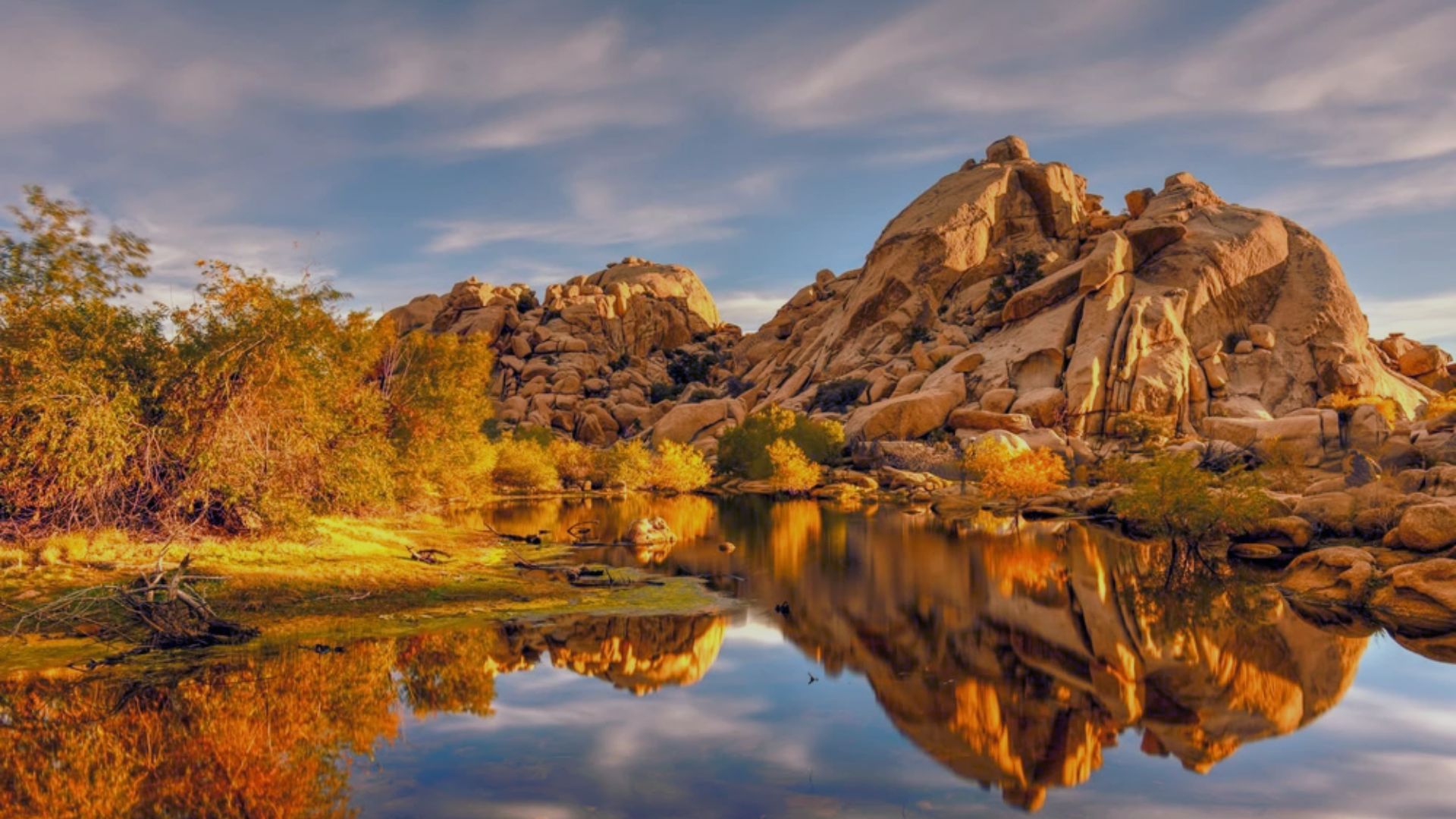 Best Time to Visit Joshua Tree for a Day Trip