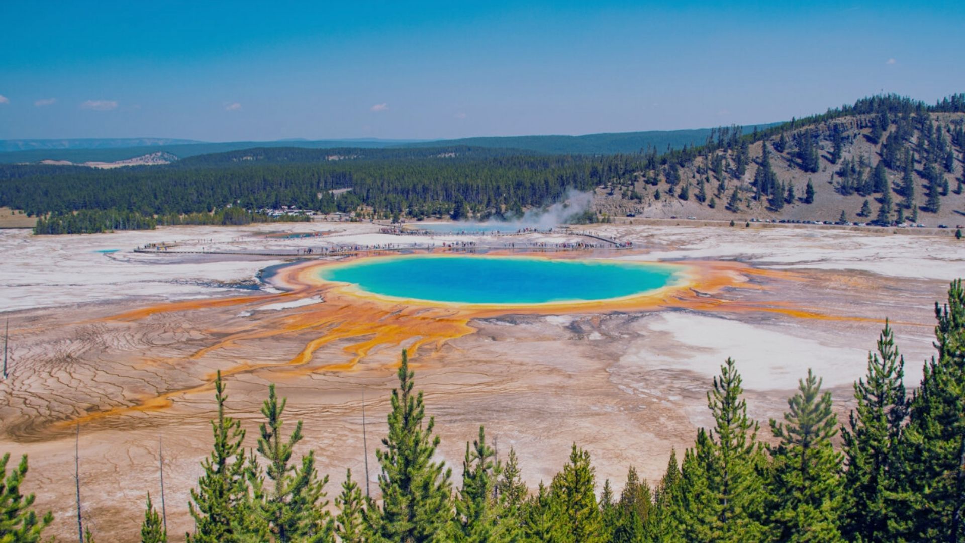 Vibrant scenery of Yellowstone National Park in Wyoming, featuring its iconic geothermal features and wildlife.