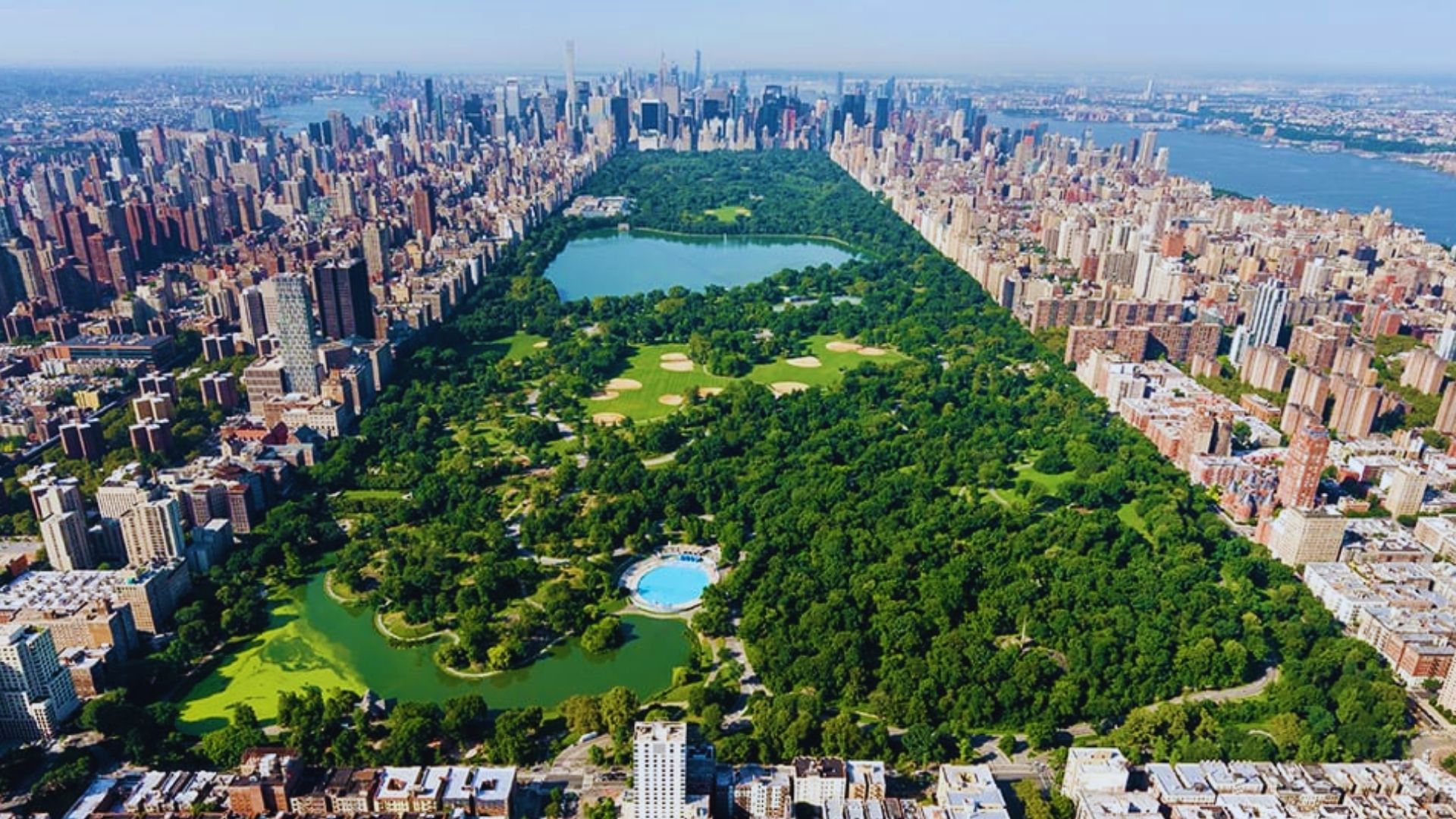 Central Park in New York City, featuring expansive lawns, trees, and a glimpse of urban architecture.