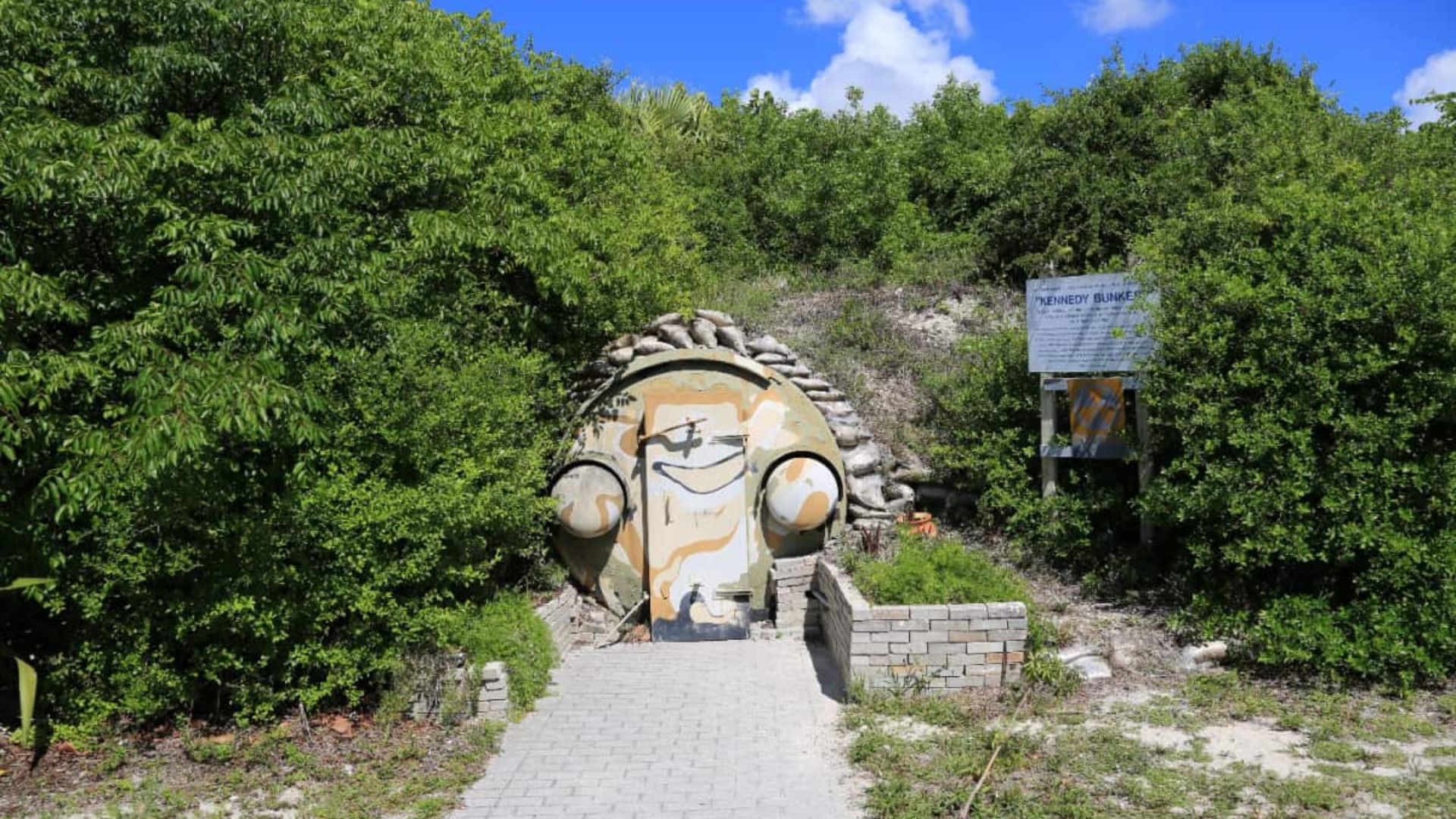 In a wooded area, a large rock features a distinct face, blending nature with an intriguing artistic element.