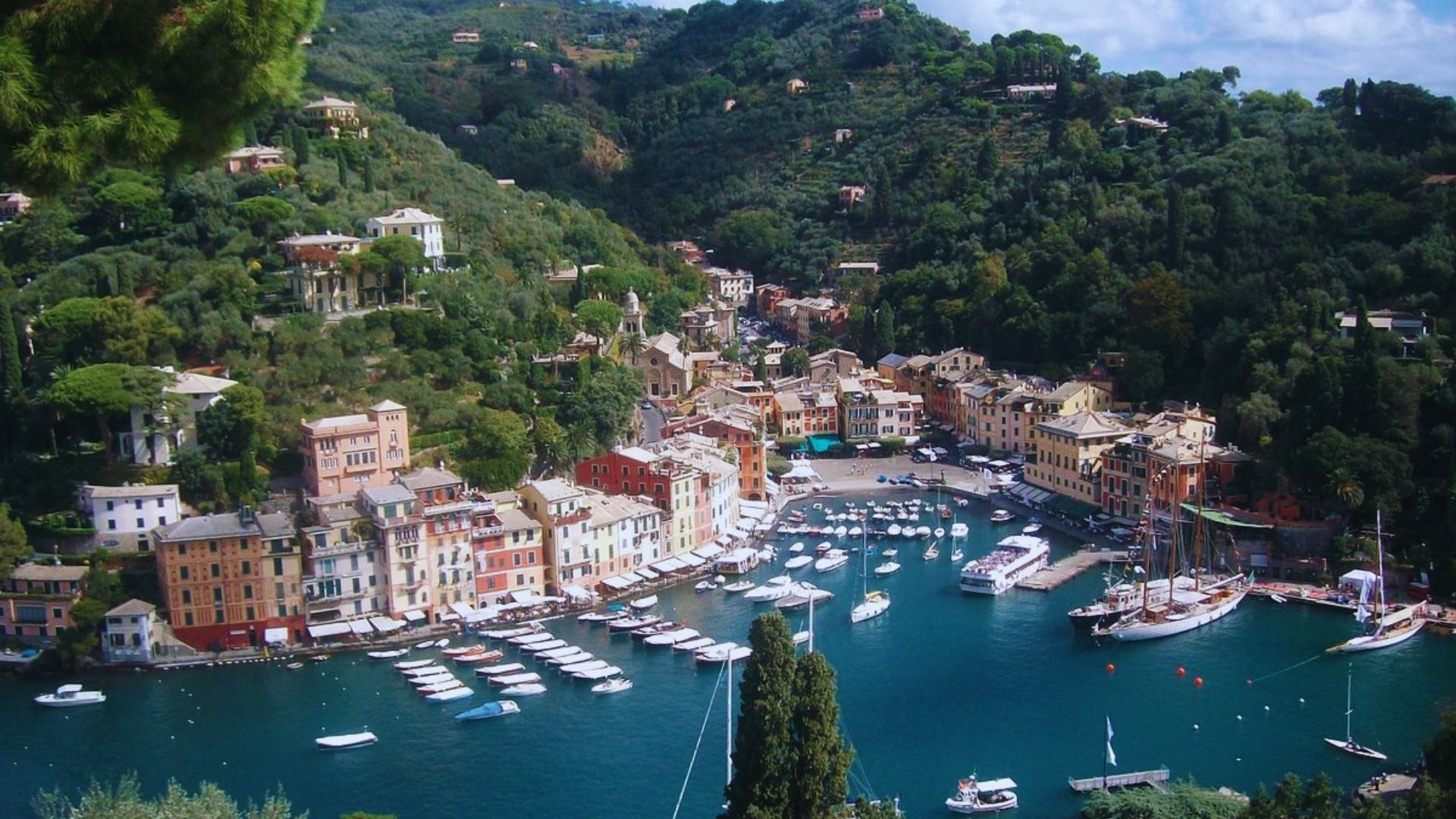 A scenic harbor filled with various boats docked along the waterfront under a clear blue sky.