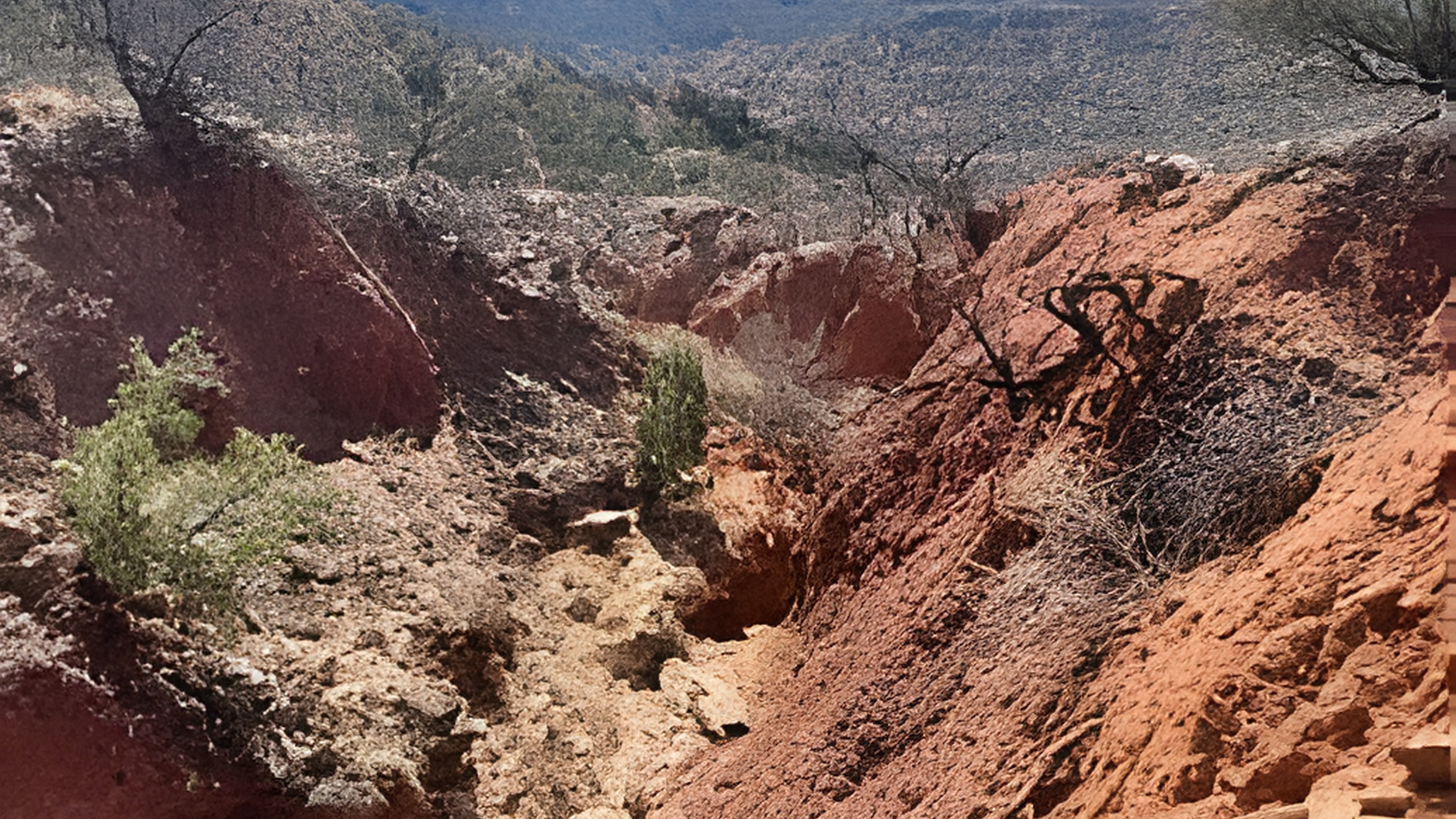 5. Lower Comanche Trail – Best Wildlife Spotting