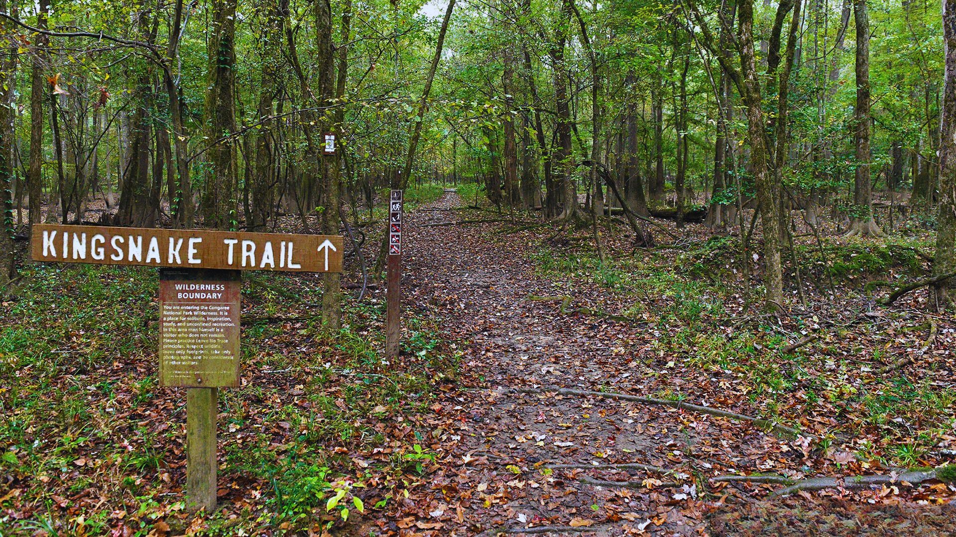 Kingsnake Trail for a Deeper Experience