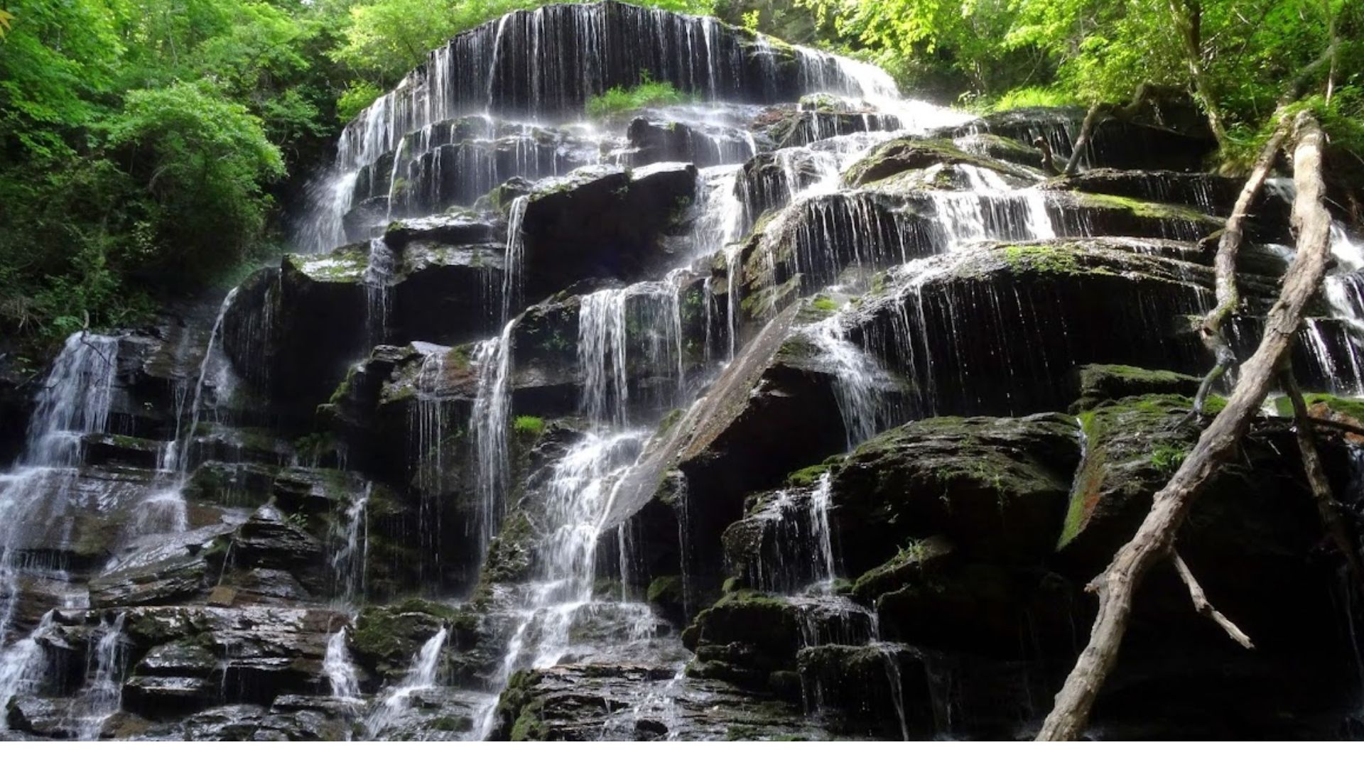 Where Is the Yellow Branch Falls