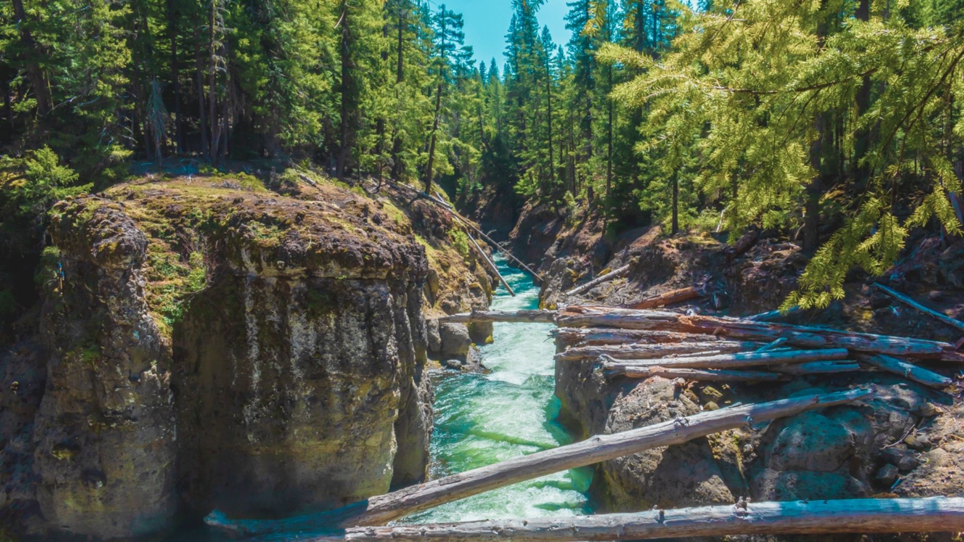 Rogue River Trail