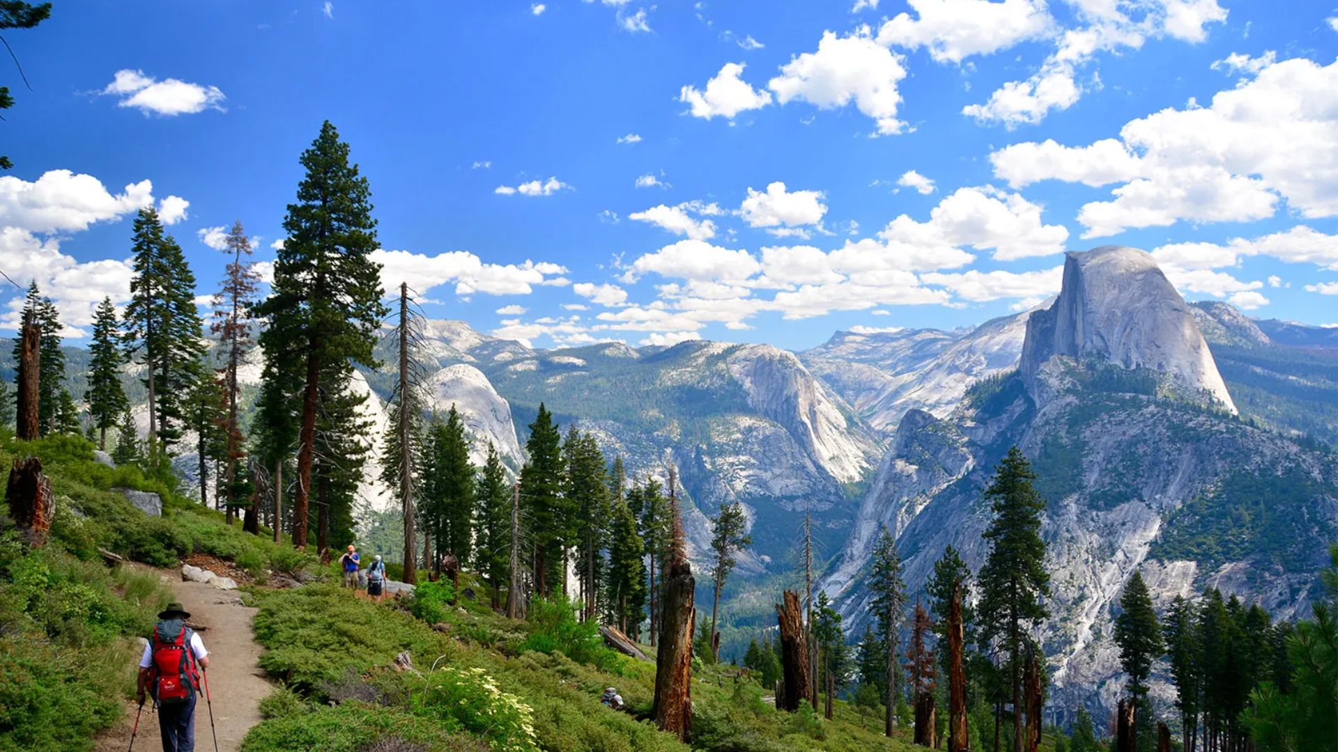 Why Yosemite is a Great Family