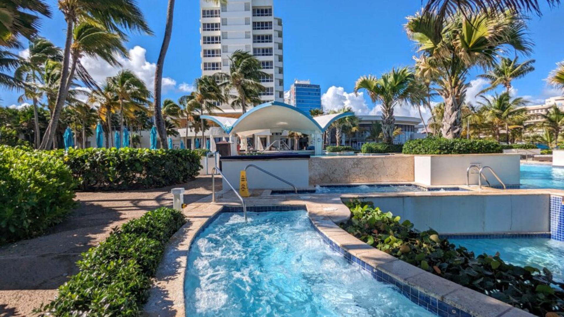 A tranquil beach club pool framed by swaying palm trees, enhancing the idyllic coastal setting for visitors.
