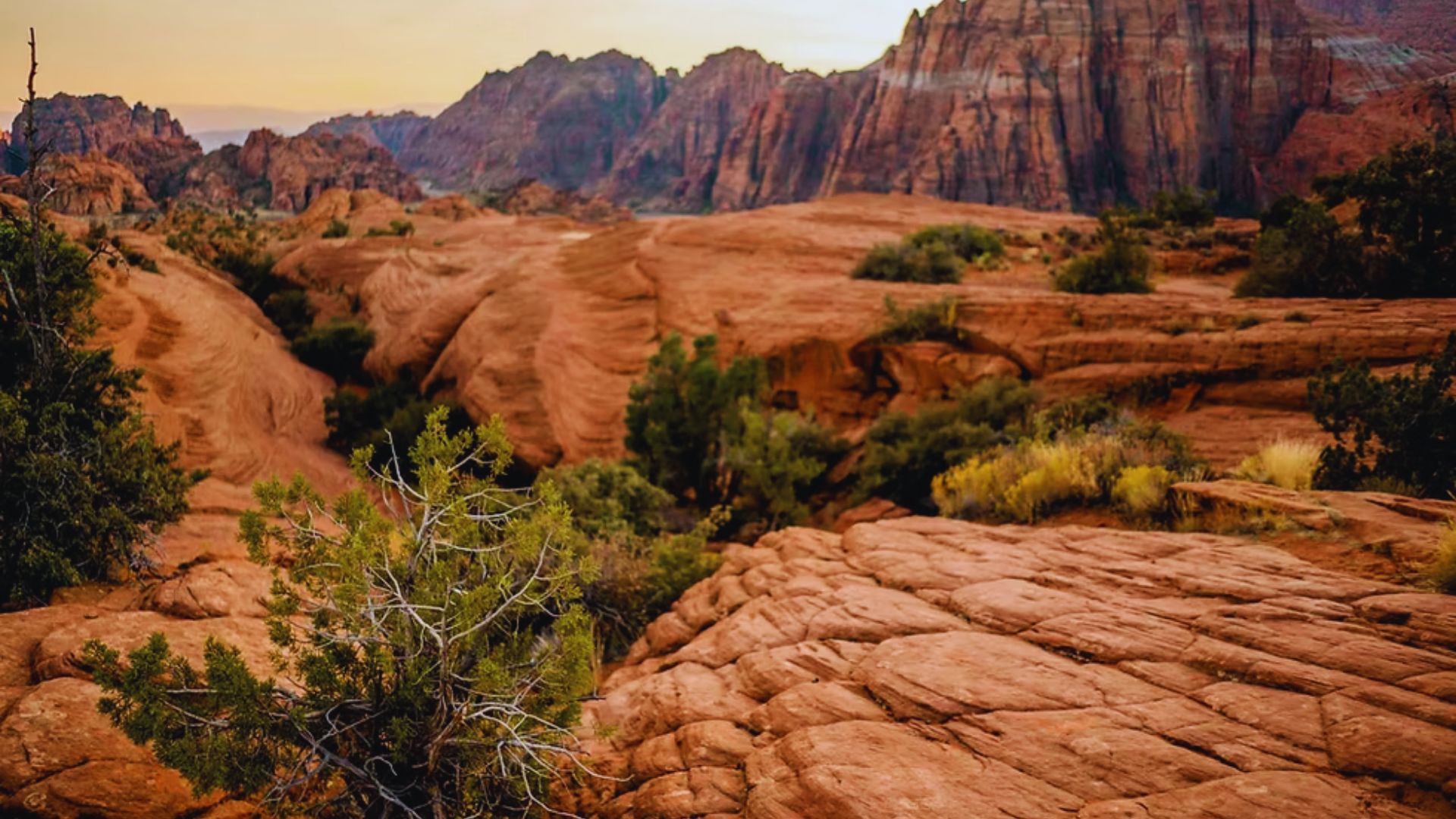 Sunset casts a warm glow on the red rocks of Zion National Park, highlighting their rugged beauty and dramatic formations.