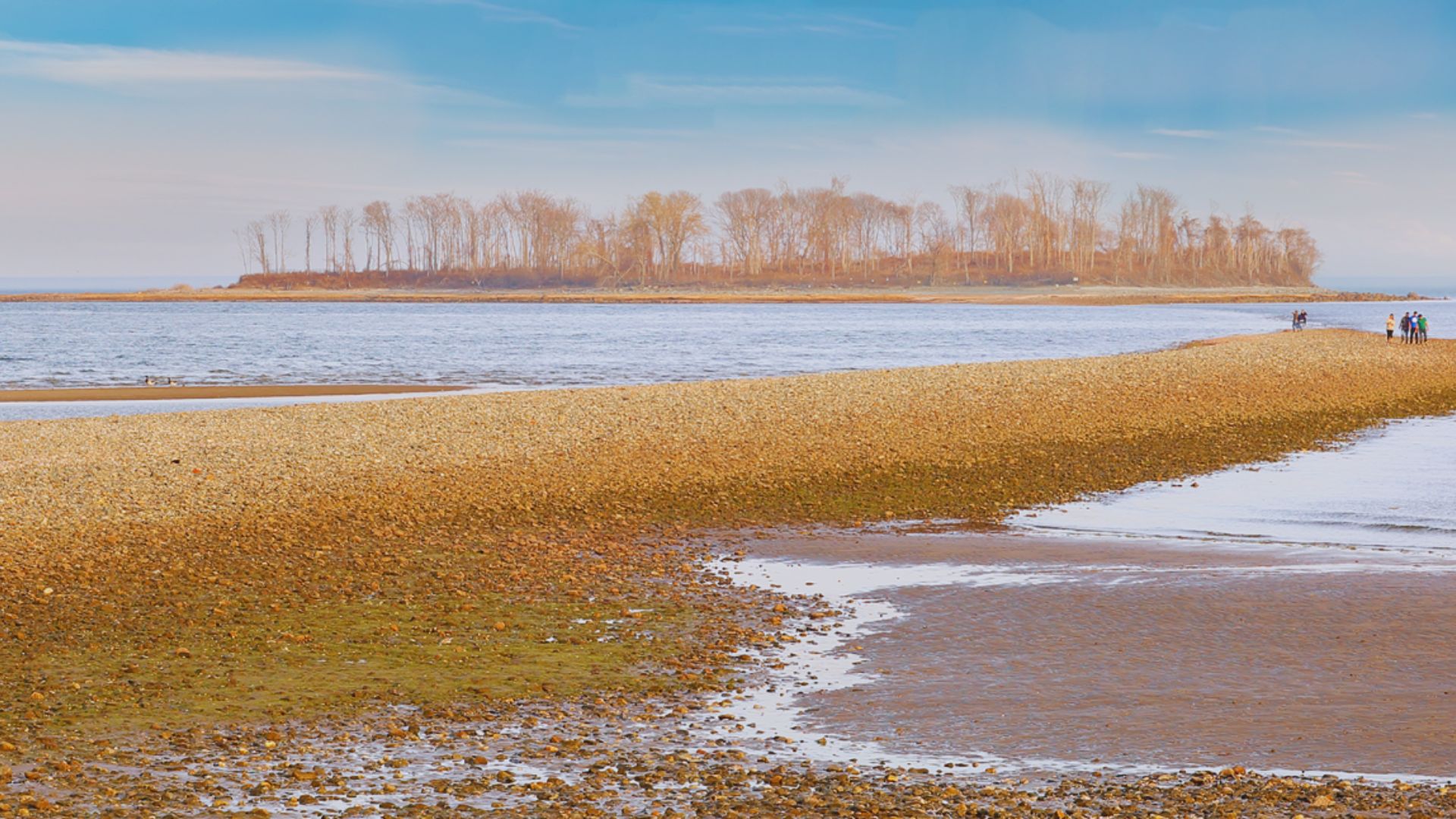 Silver Sands Beach