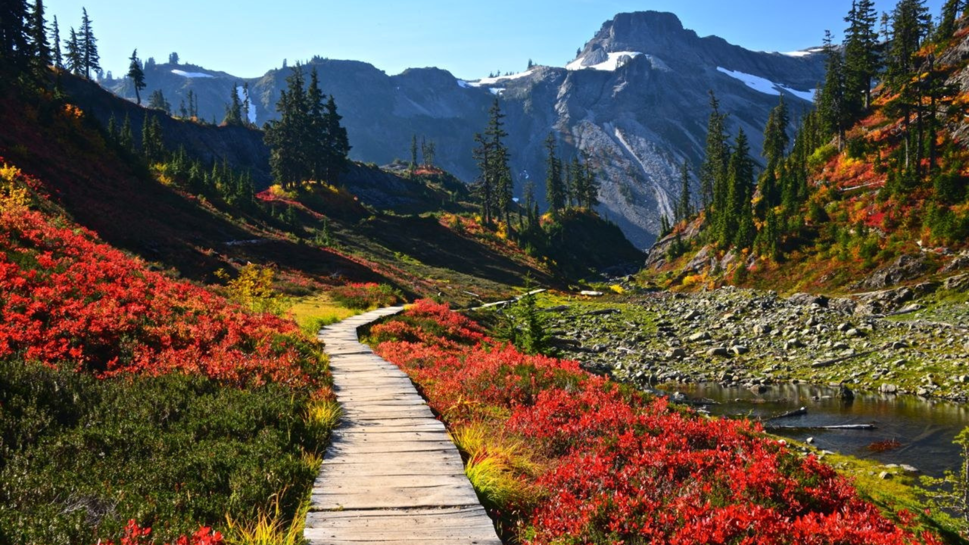 4. Bagley Lakes Trail