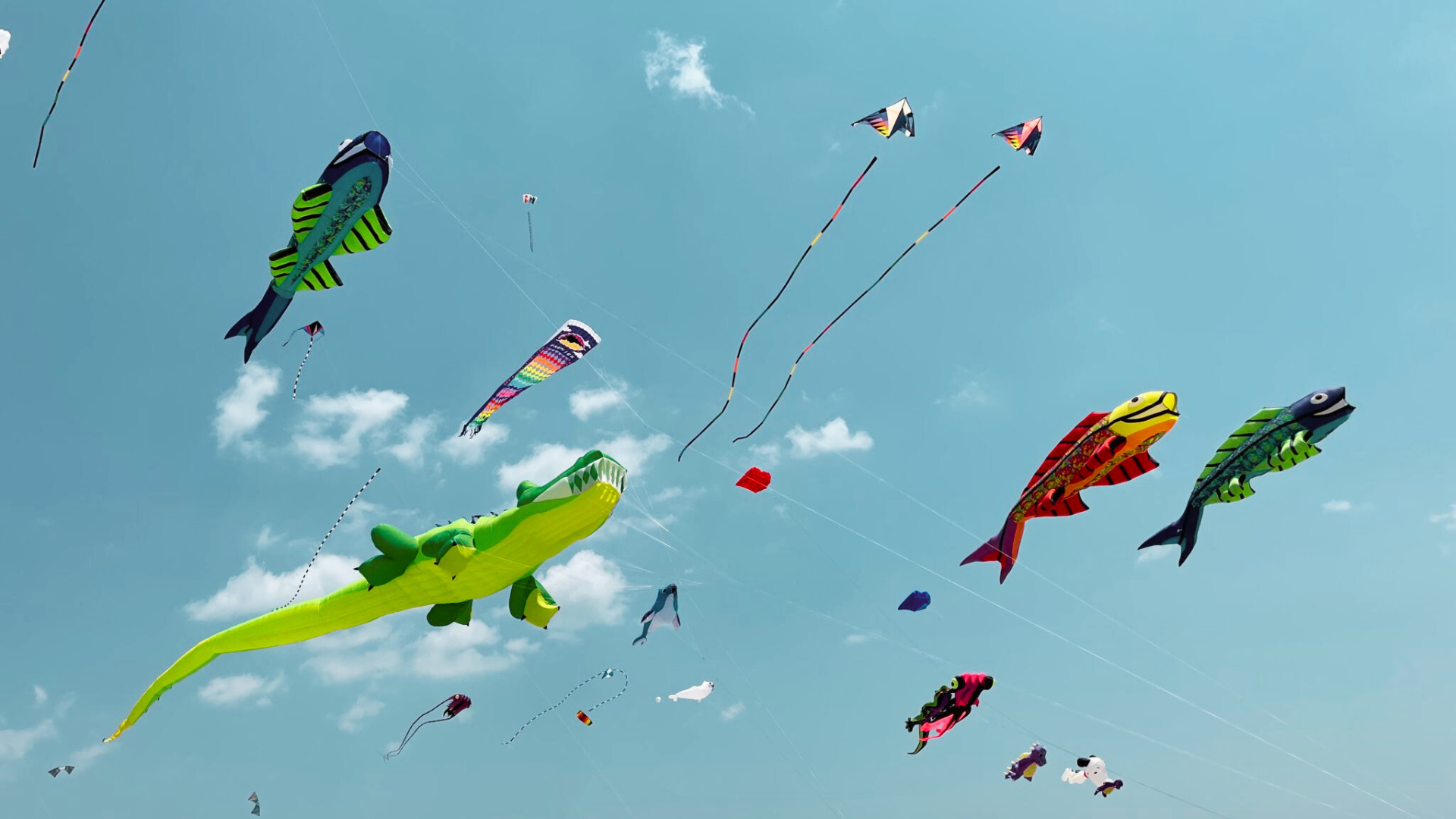 7. Fly Kites at Jockey's Ridge State Park