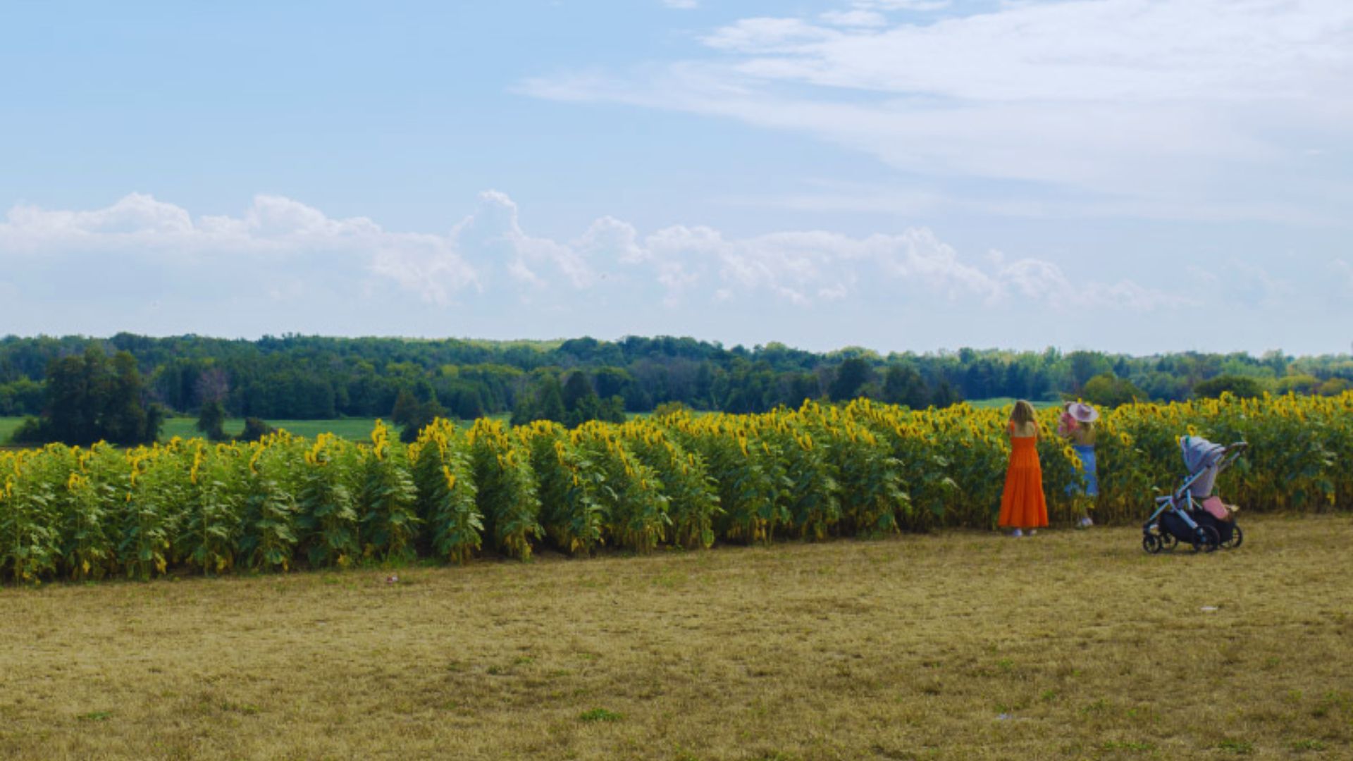 13. Clarington: Farm Markets & Waterfront Trails