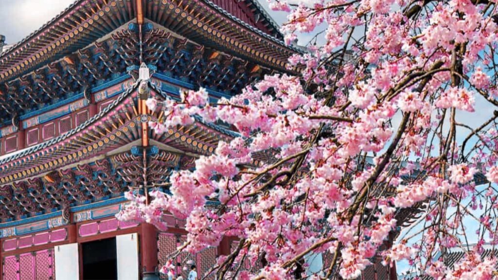 Travel to Seoul: Complete Visitor's Guide