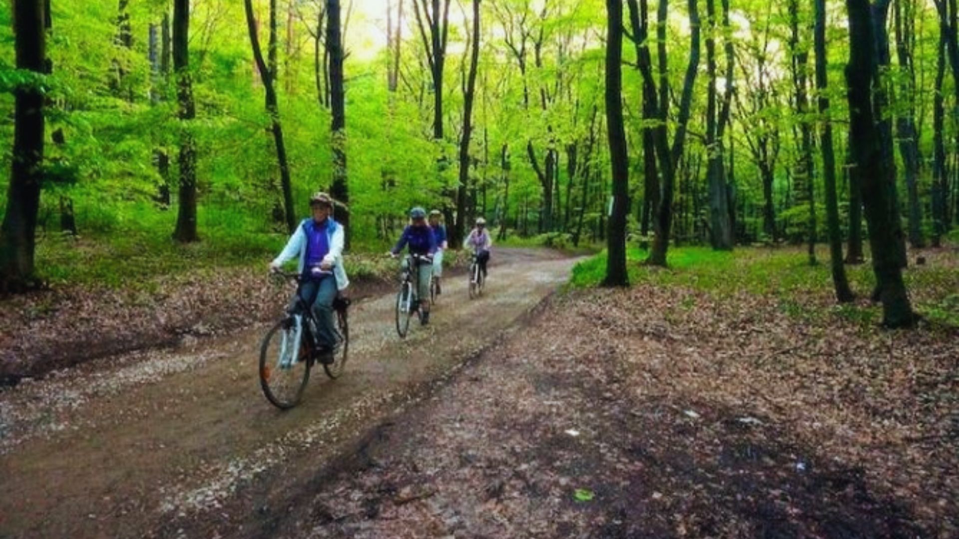 Three individuals cycling along a dirt path surrounded by trees in a wooded area.
