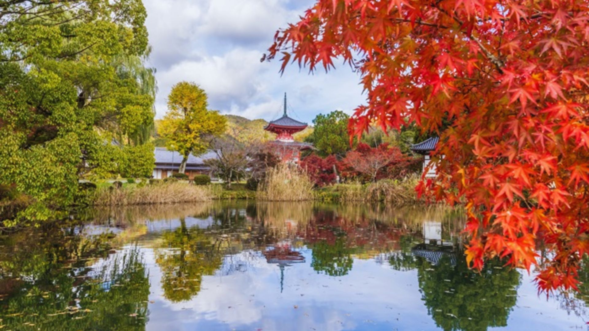 Daikakuji Temple, Kyoto