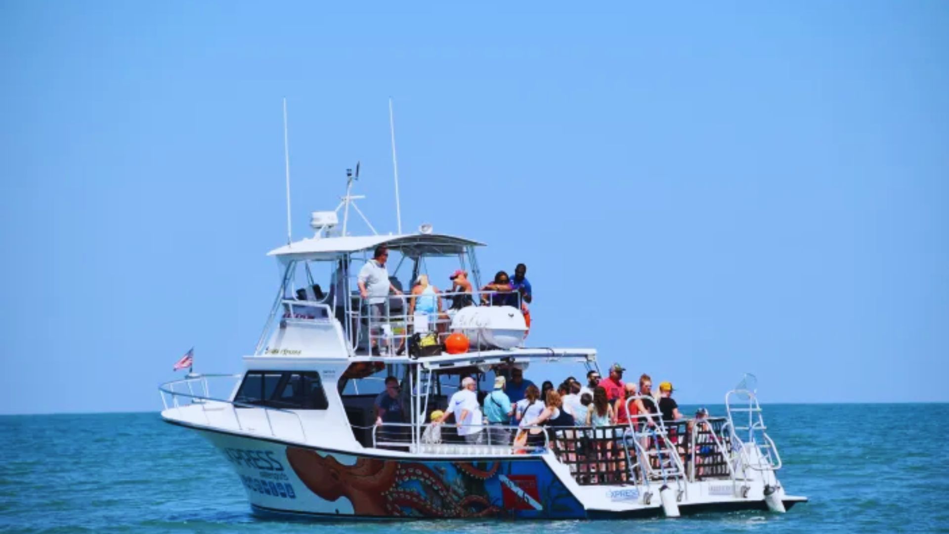 Dolphin Watching Tours