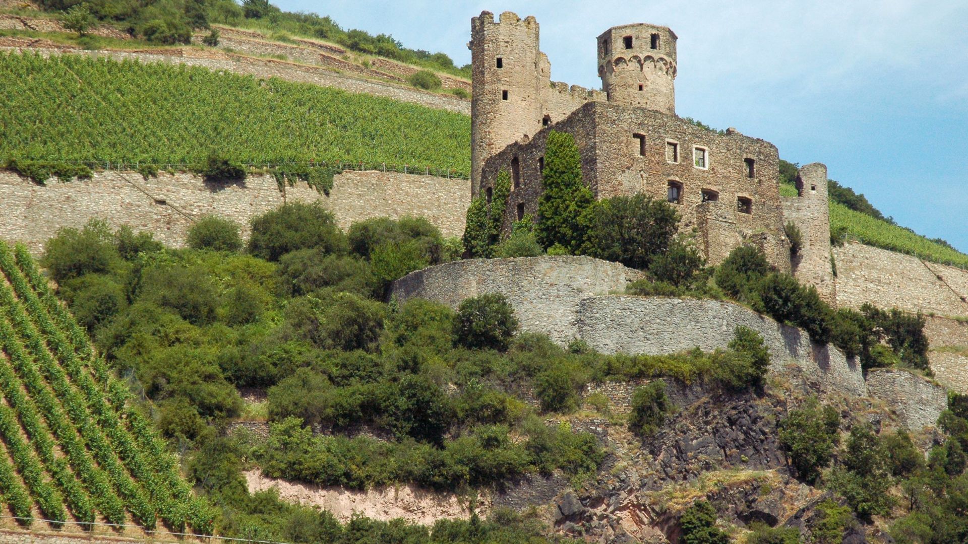 A castle perched on a hillside, adorned with lush green vines climbing its stone walls.