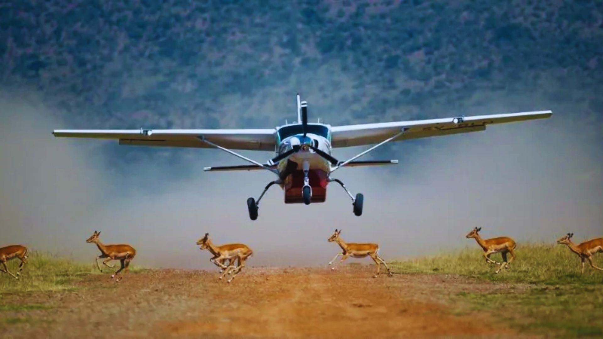 A small plane glides through the sky above a herd of deer in a natural setting.