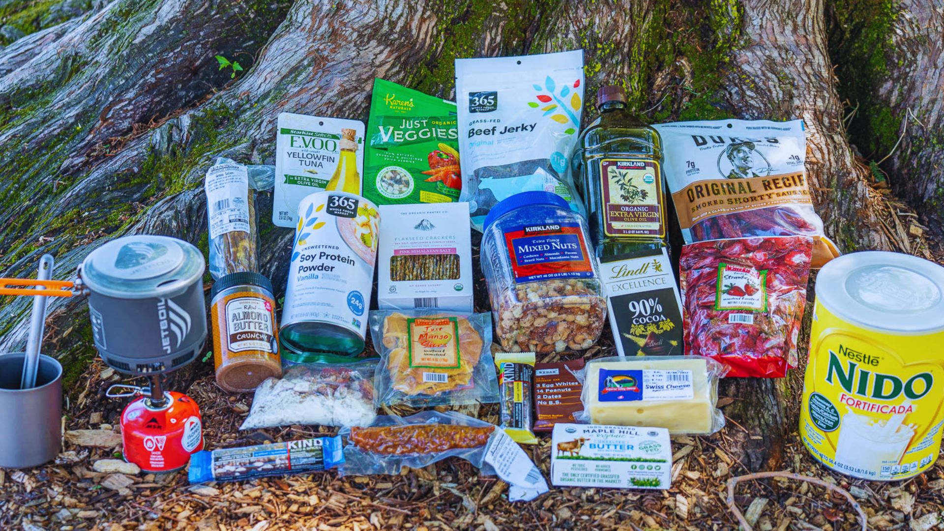 A towering tree looms over a large assortment of food and miscellaneous items piled nearby.