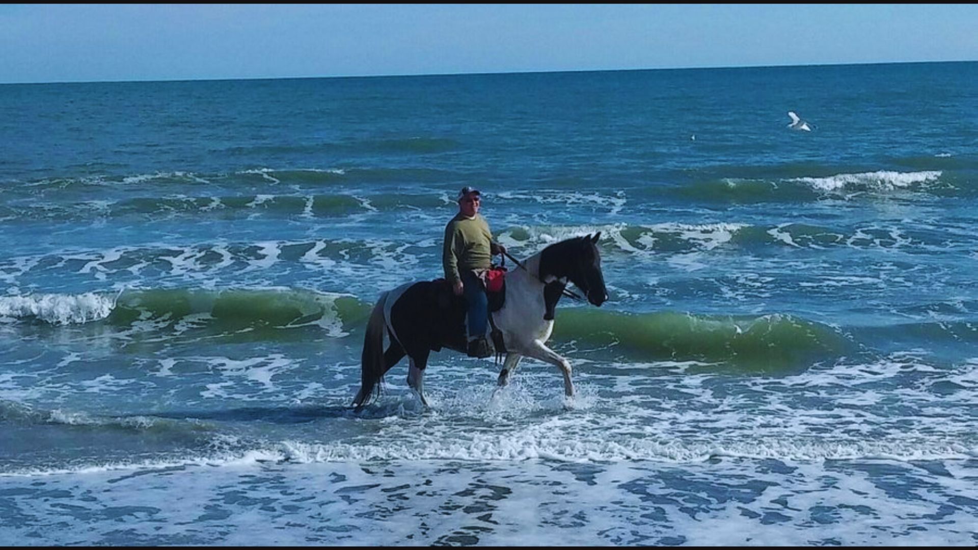 Horseback Riding on the Beach