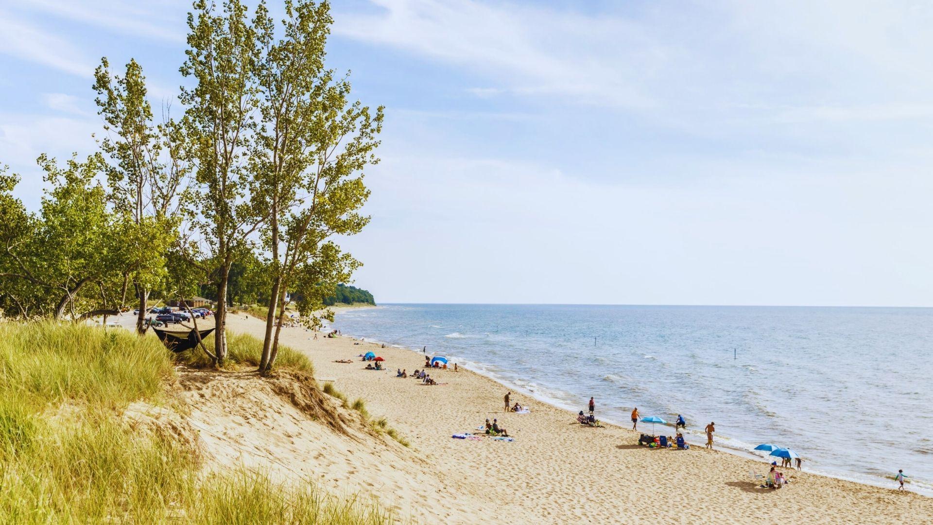 A sandy beach populated with people enjoying the sun, surrounded by lush green trees.