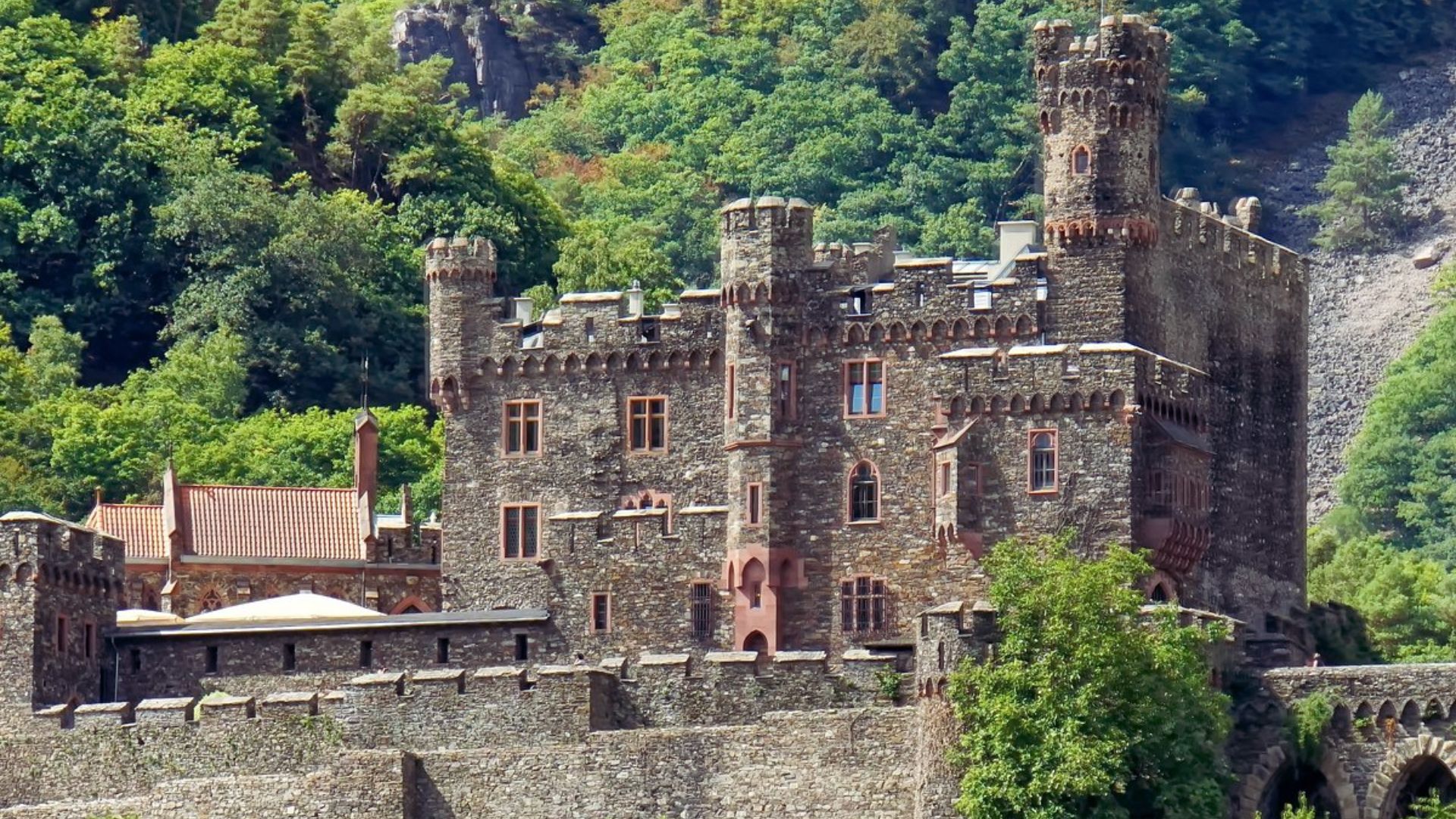 A castle perched atop a hill, encircled by lush green trees, creating a picturesque landscape.